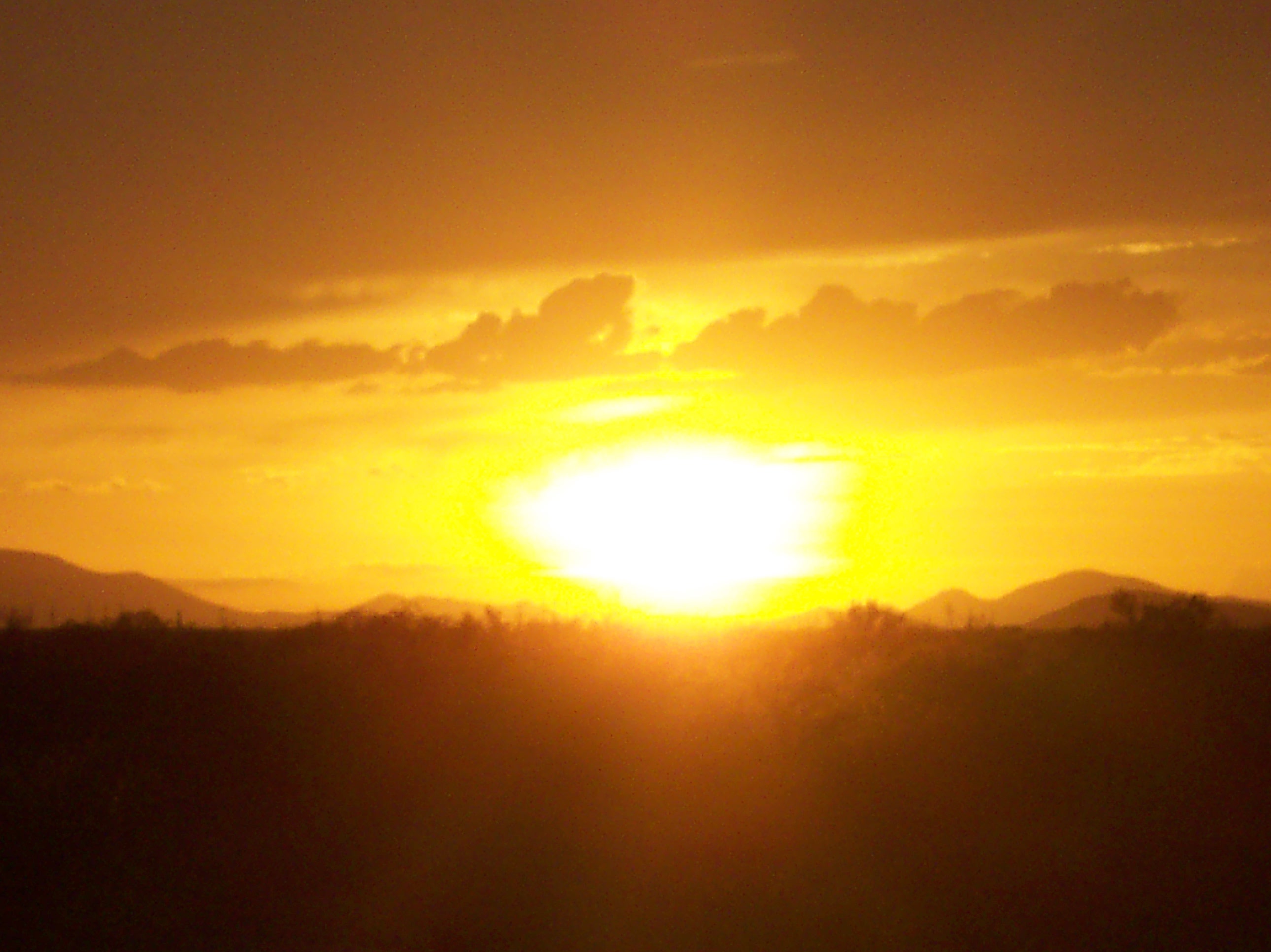 Zon