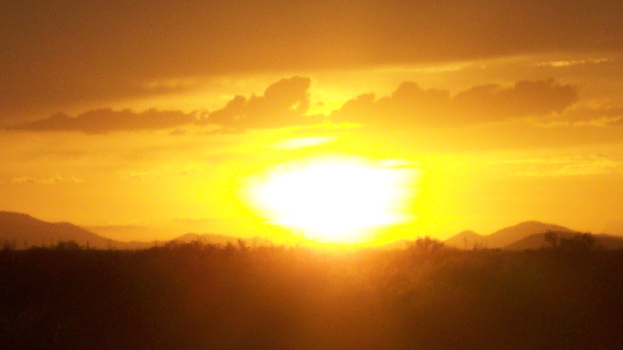 Zon X