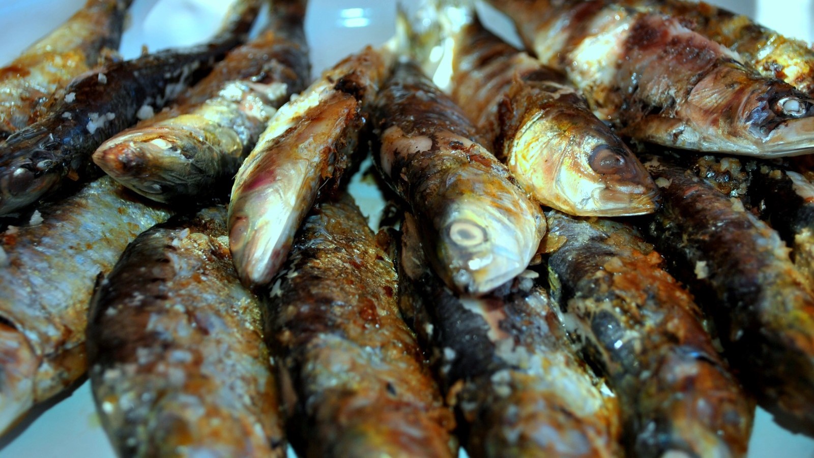Sardines Grillees
