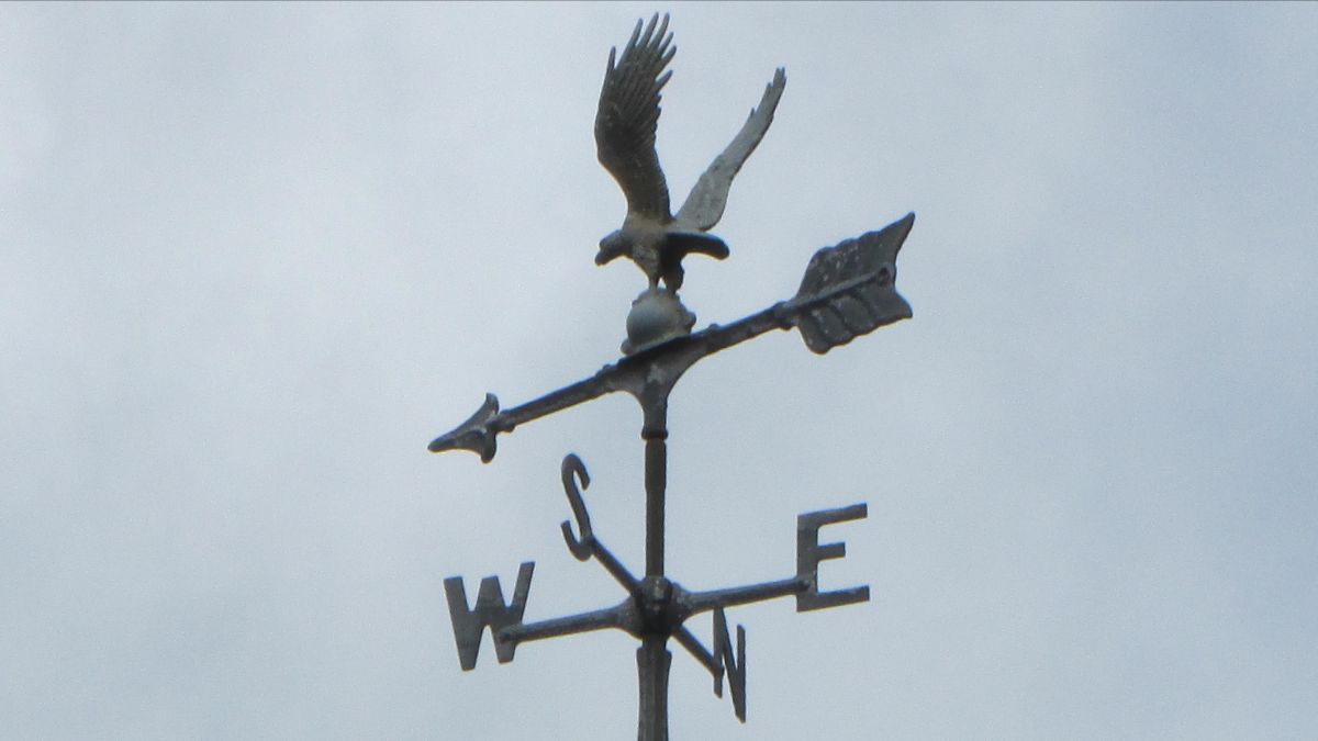 2 Weerhaan