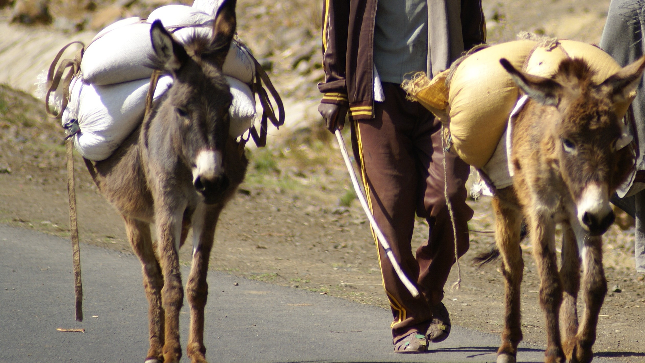 2 C.Leterme(Ethiopië 2013)01955