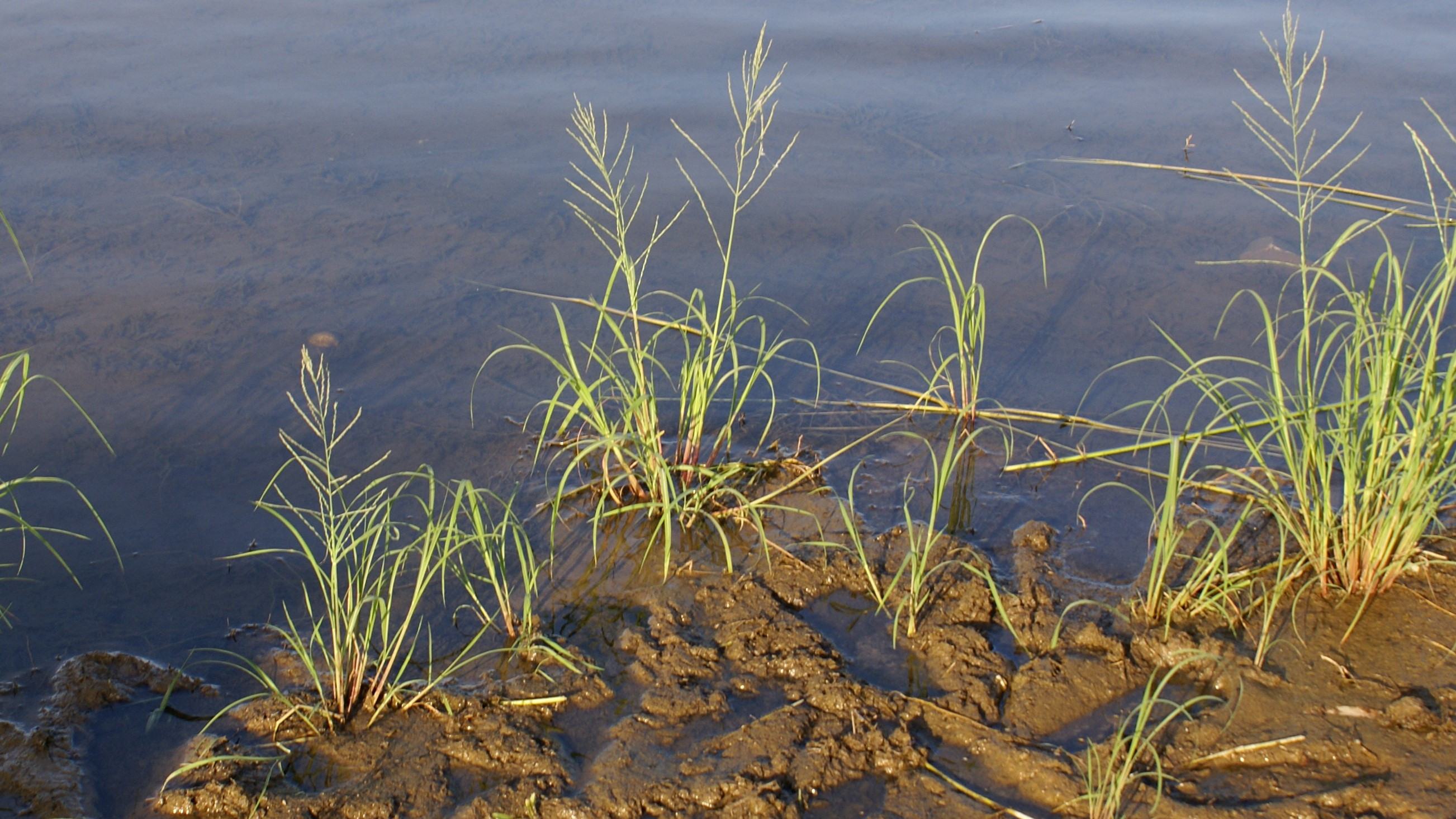 2 C.Leterme Meer Van Galilea 2012 571