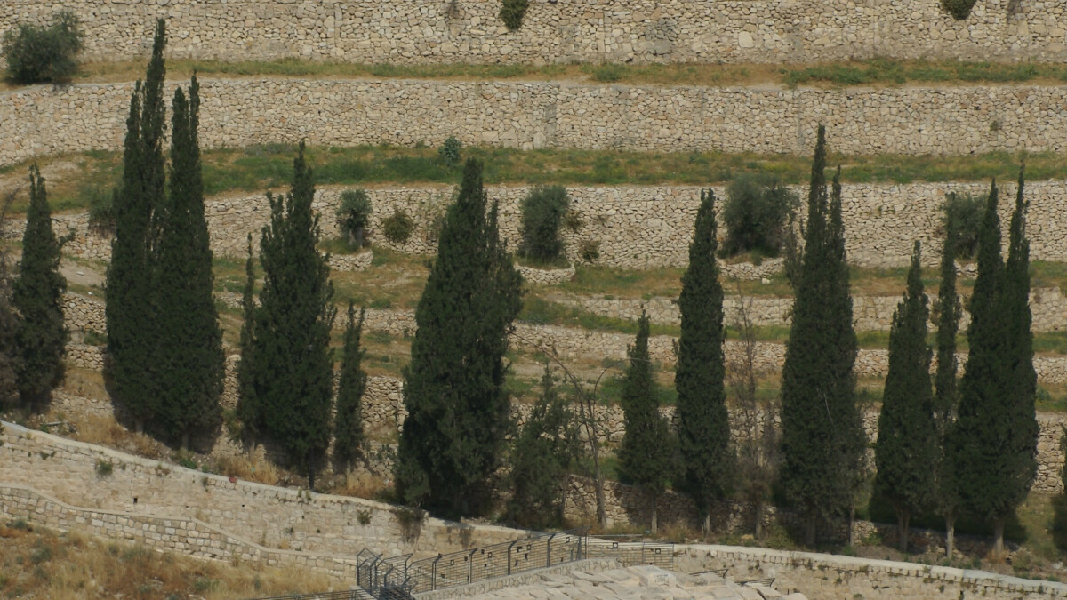 2 C.Leterme (Jeruzalem 2012)DSC07611