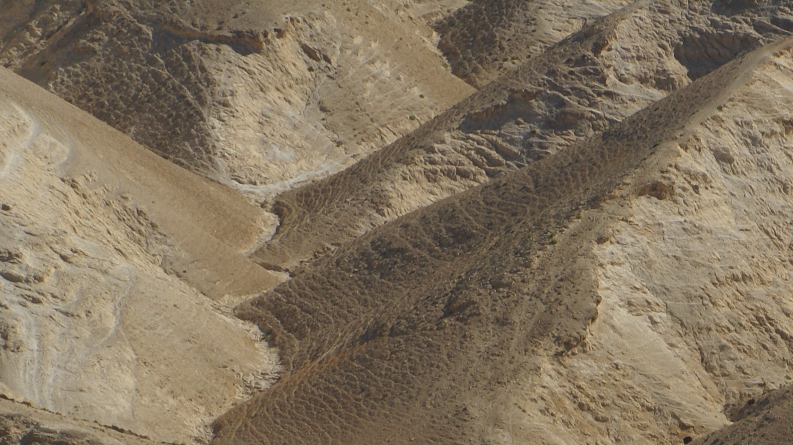 2 C Leterme Woestijn (Israël 2012)