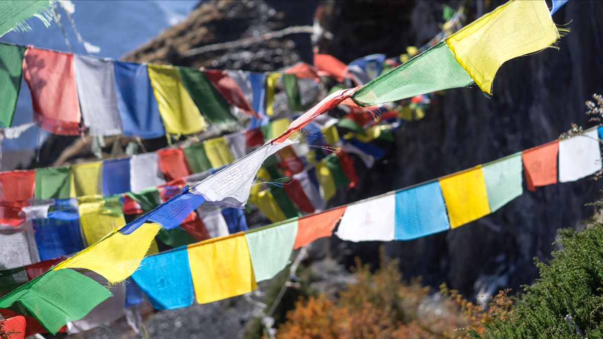Raimond Klavins X303wT2uygo Unsplash