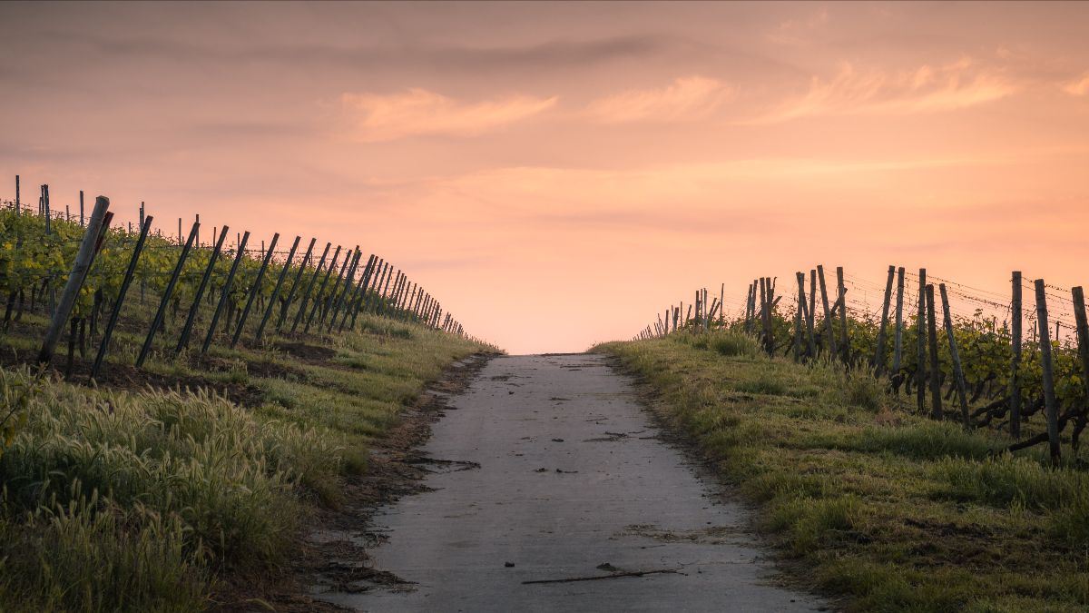 2 Karsten Wurth HiE1bIIoRqQ Unsplash