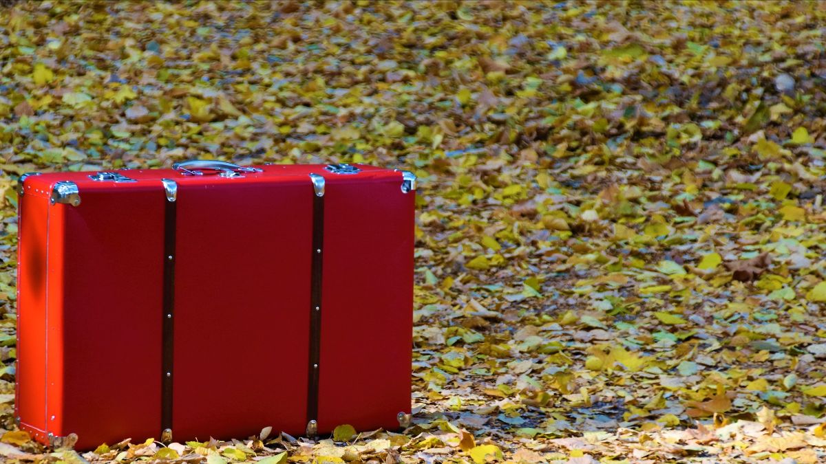 2 Waldemar Brandt HD Xez Q2og Unsplash