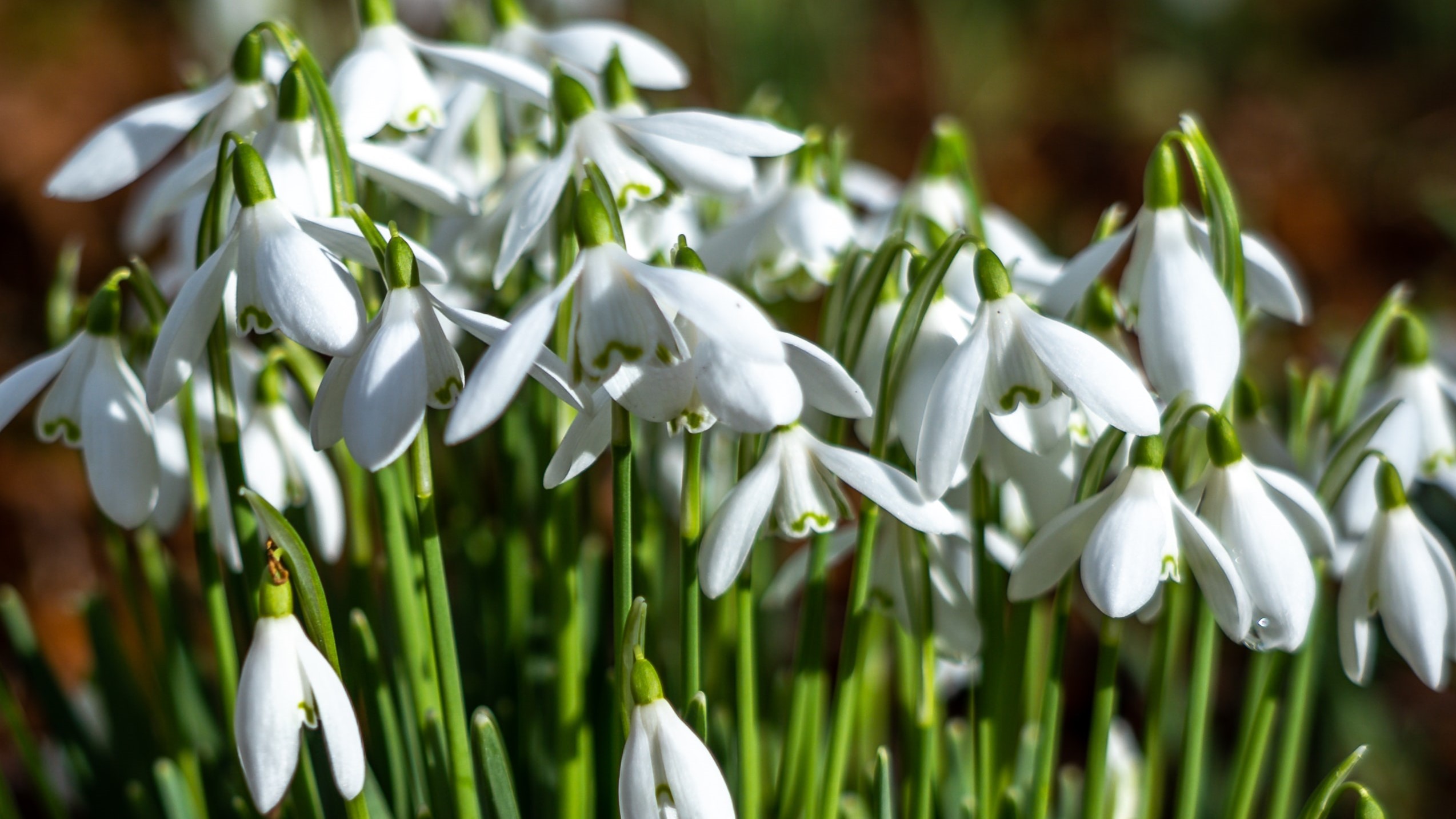 7194 Nick Fewings PiaYklUnxmc Unsplash