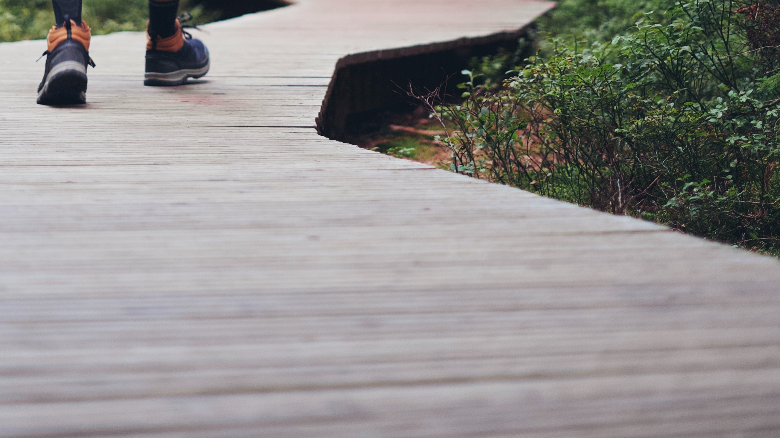 2 Guillaume Issaly 8TDwh96Vjf4 Unsplash (detail)