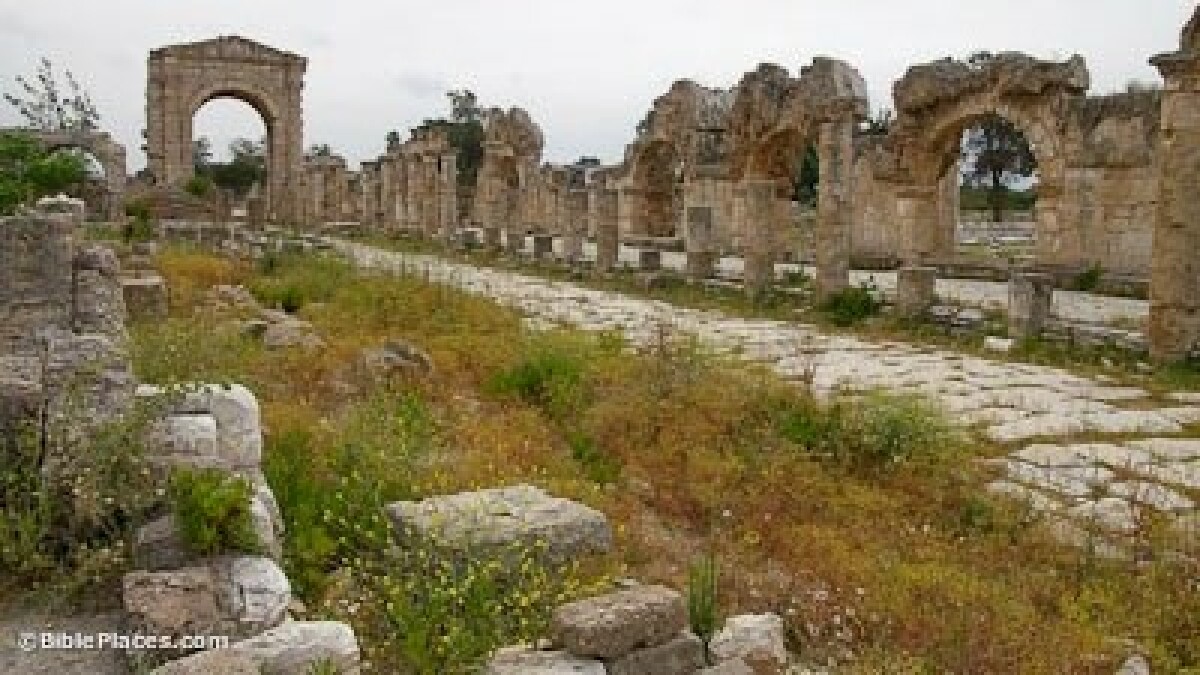 Tyre Al Bass Site Roman Road And Monumental Arch And Aqueduct Adr090508528 Bibleplaces