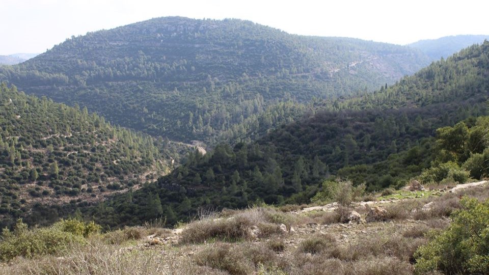 2 Nahal Sorek Wikimedia Commons