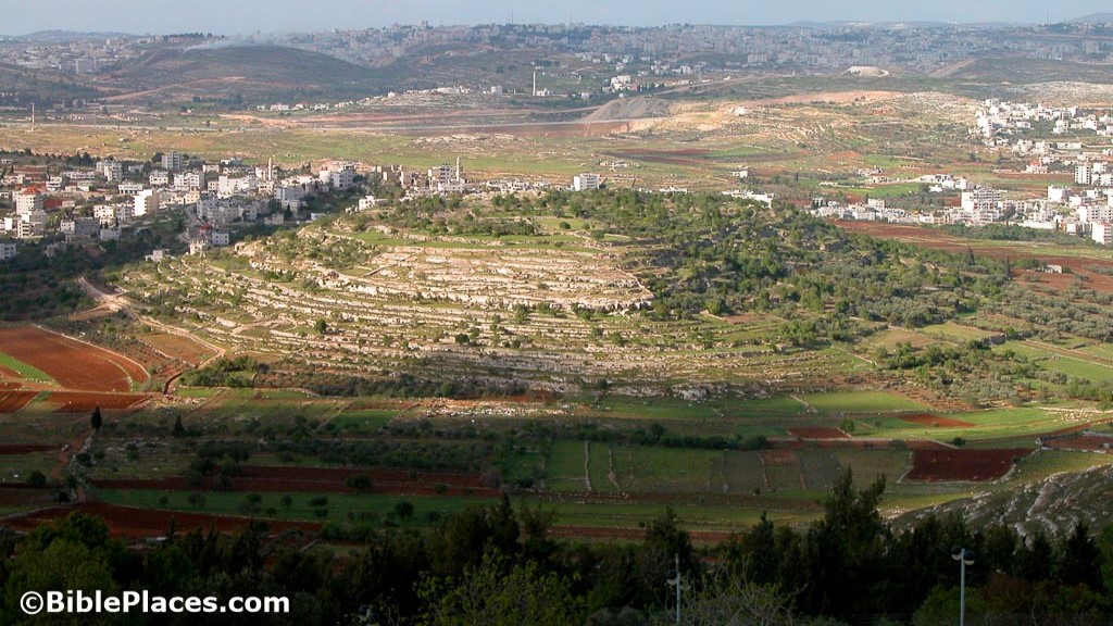 Gibeon From Nebi Samwil Tb040304296