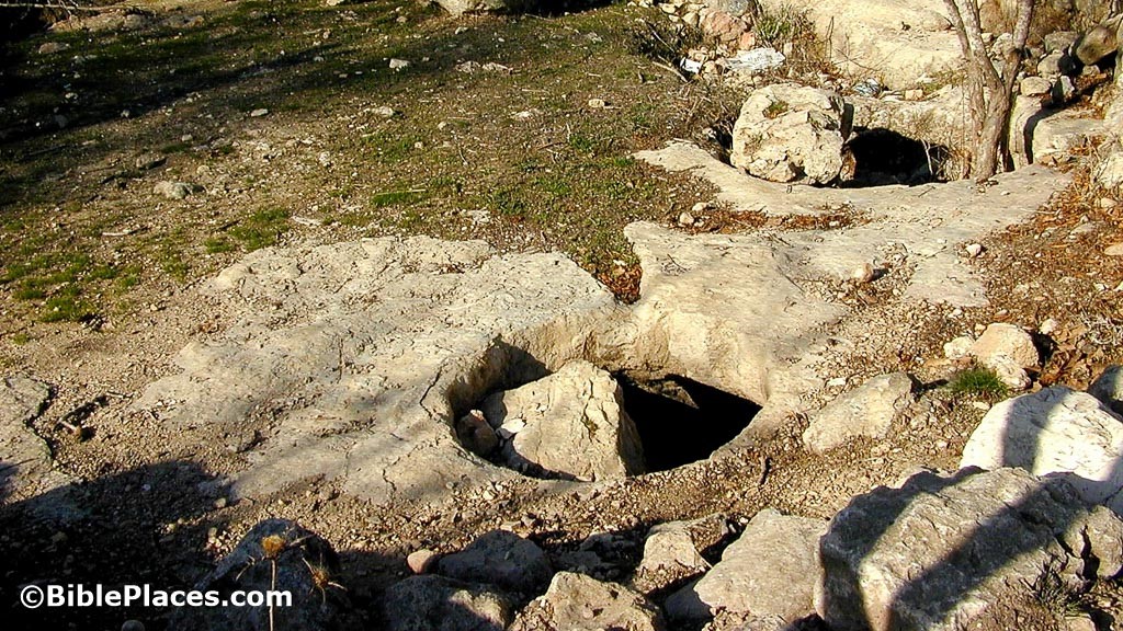 Gibeon Wine Cellars Tb010100104