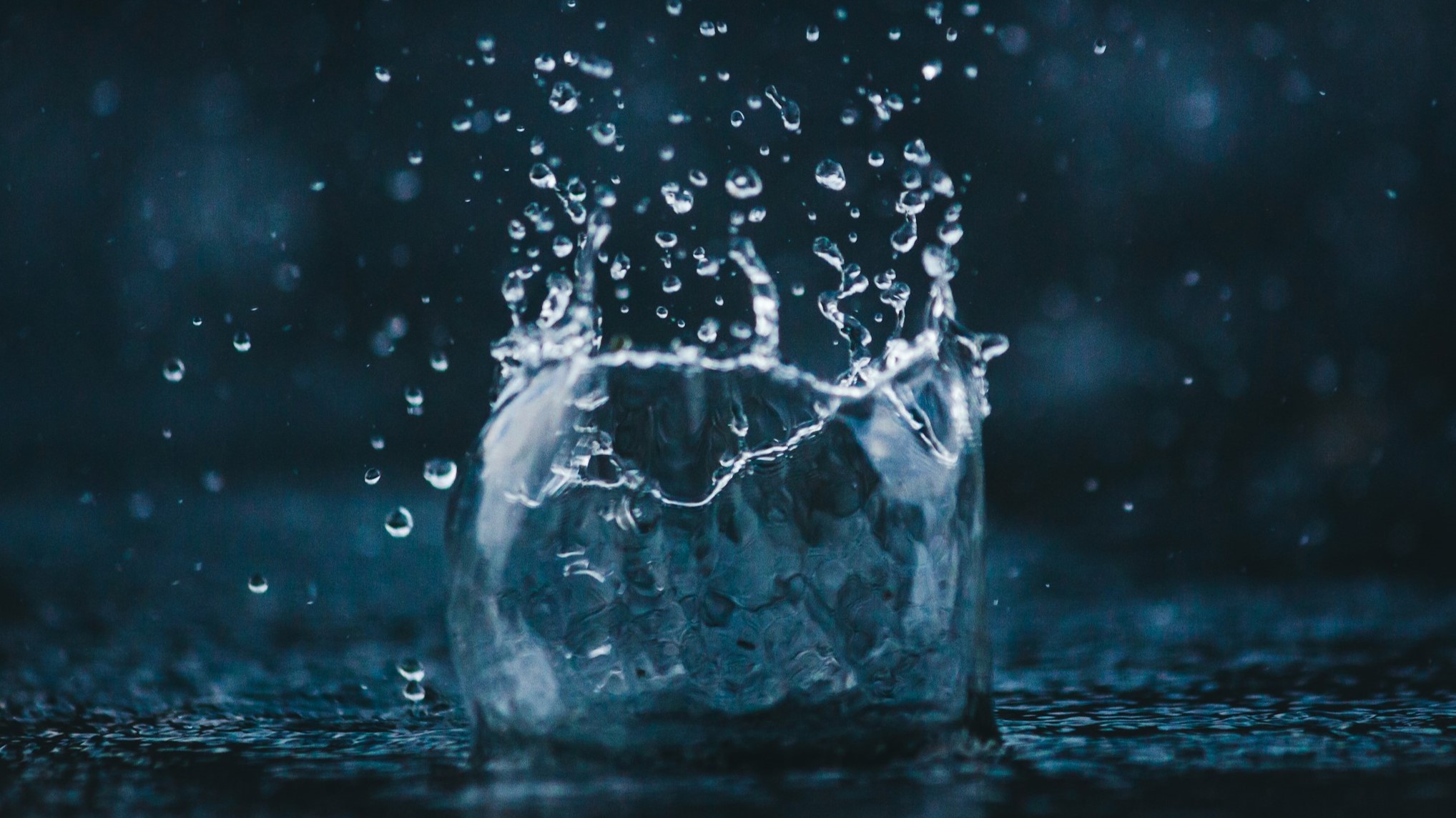 4 Amadej Tauses XWOTojs1eg4 Unsplash