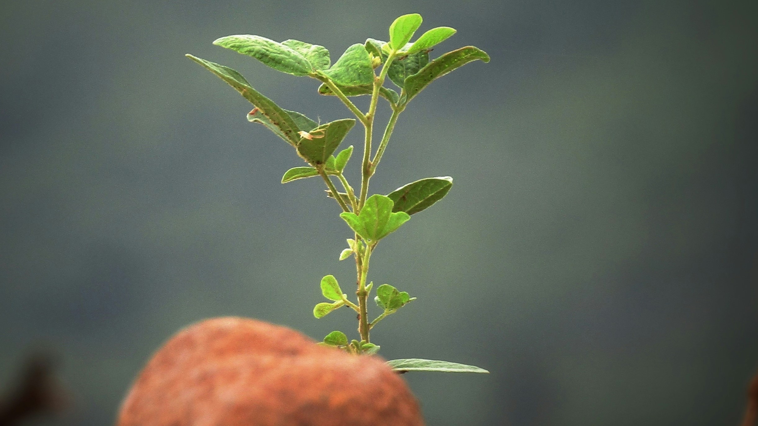 2 Sushobhan Badhai LrPKL7jOldI Unsplash