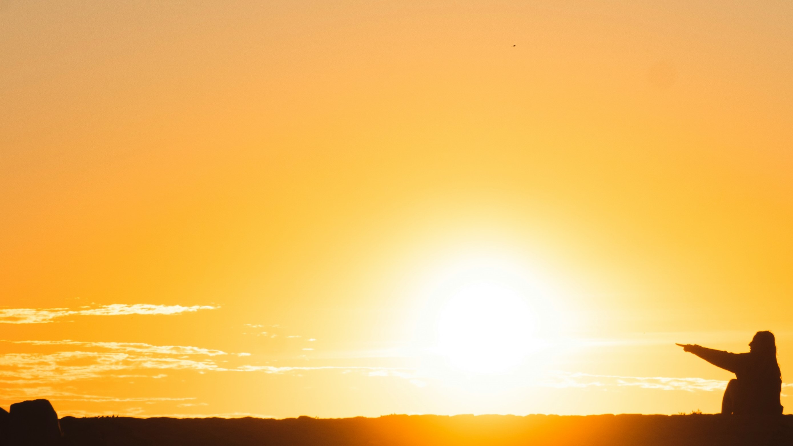 10 Sebastian Staines EkL1OWV0qvc Unsplash