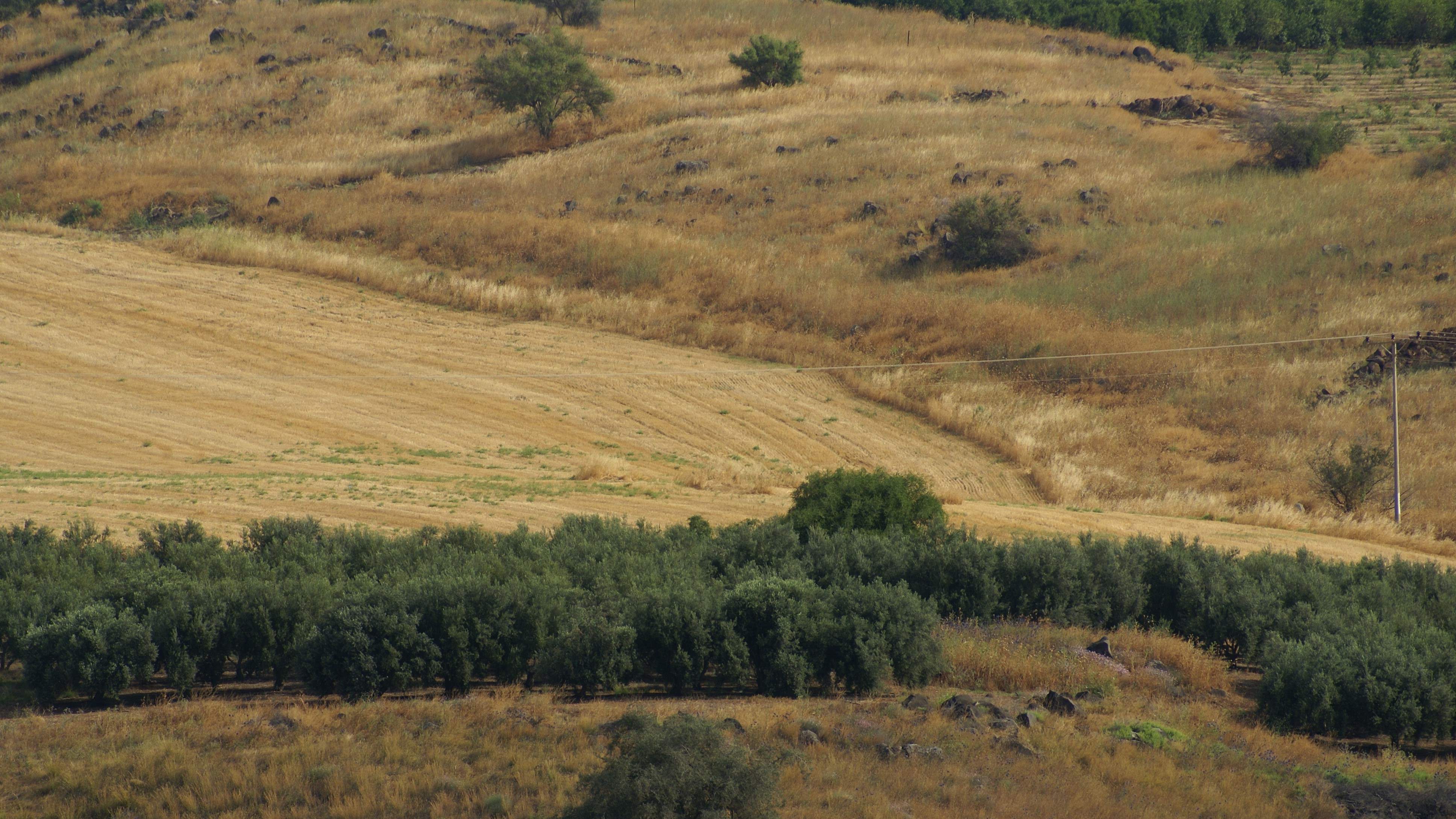 2 C.Leterme Israël Mei 2012 585