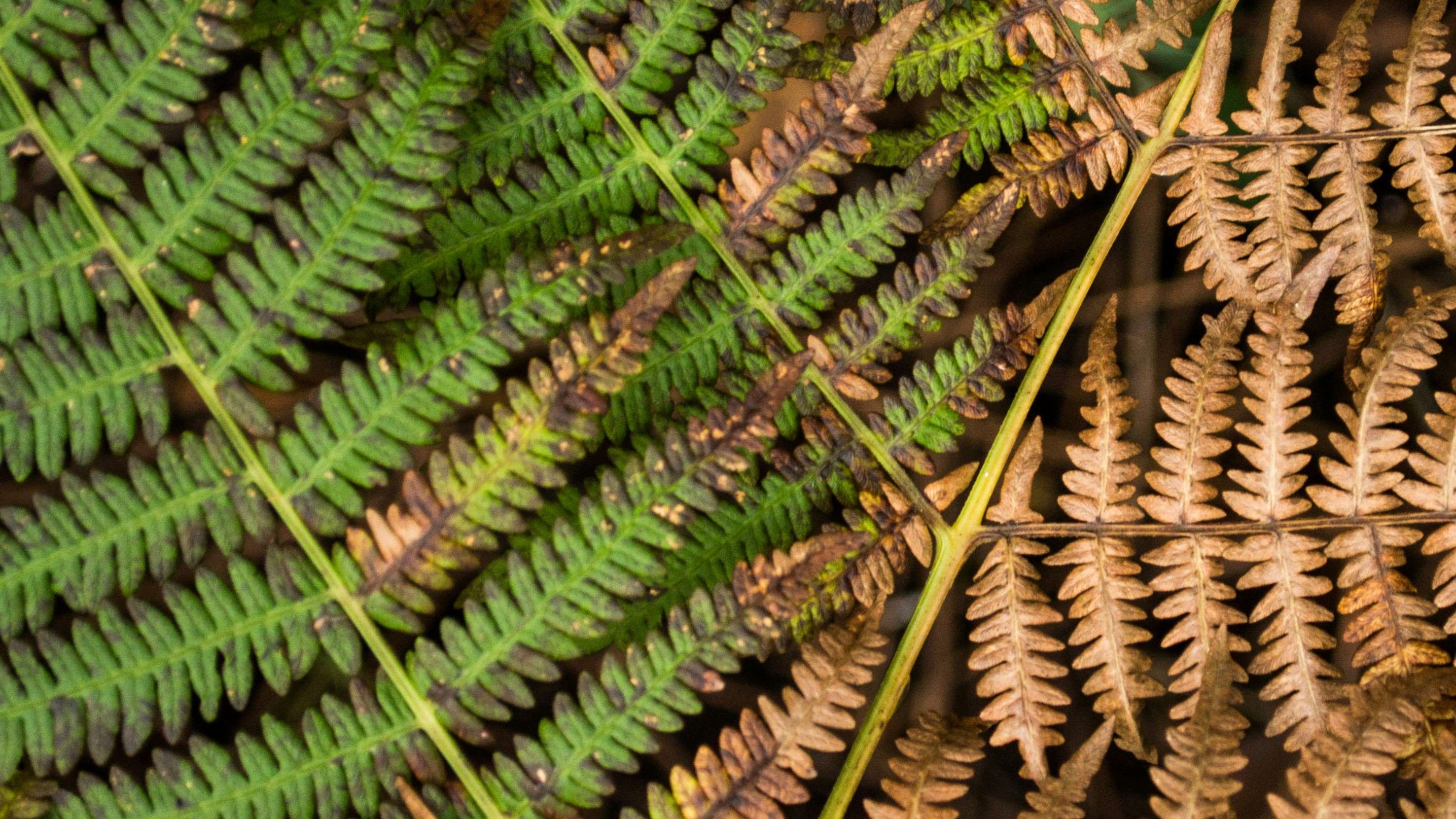 18 Diogo Nunes ImuAlICz6 G Unsplash