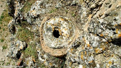 Laodicea Clay Water Pipe With Calcium Deposits Tb041305134 Bibleplaces