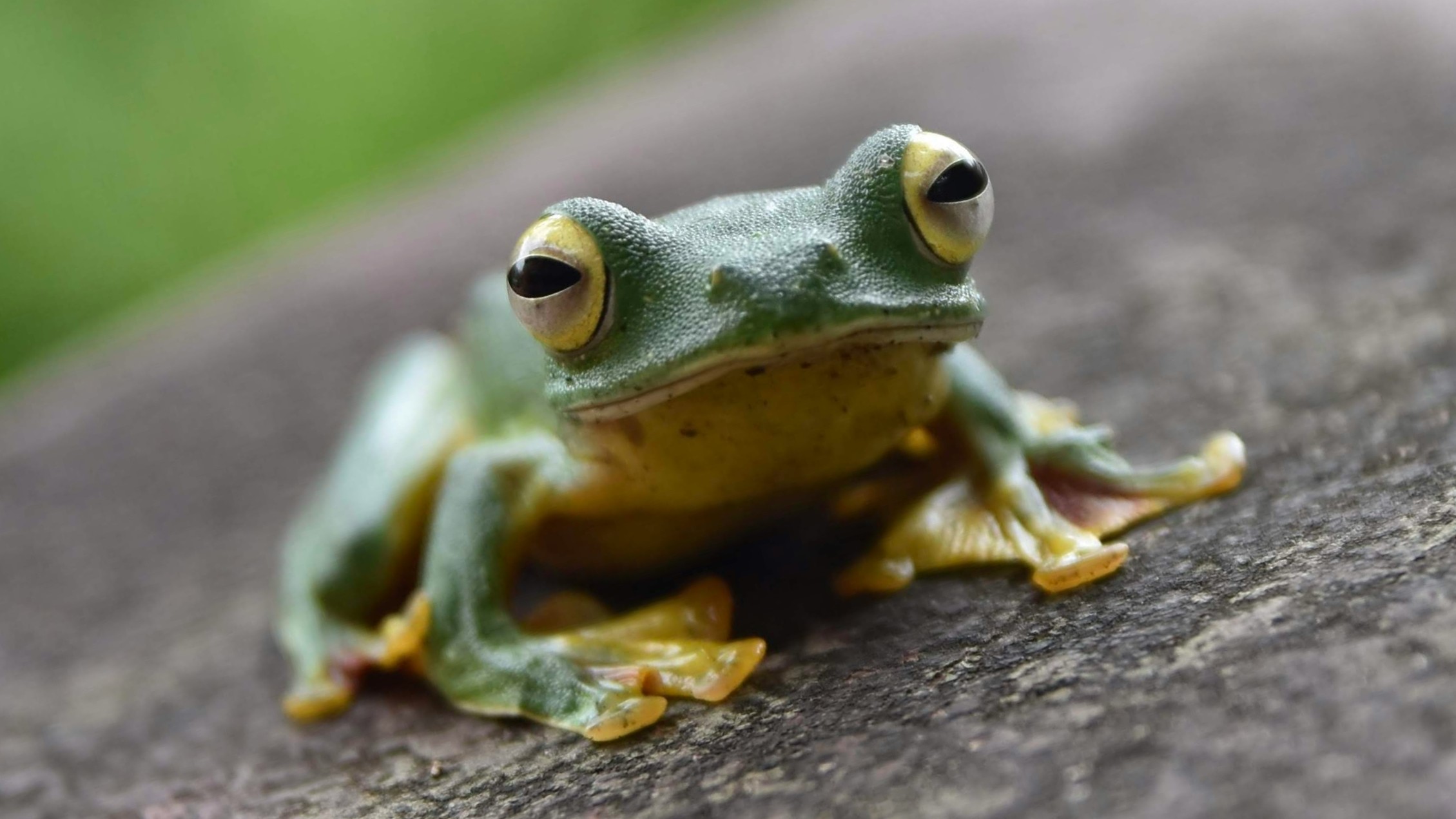 Avin Cp QLqv9rWWB8I Unsplash