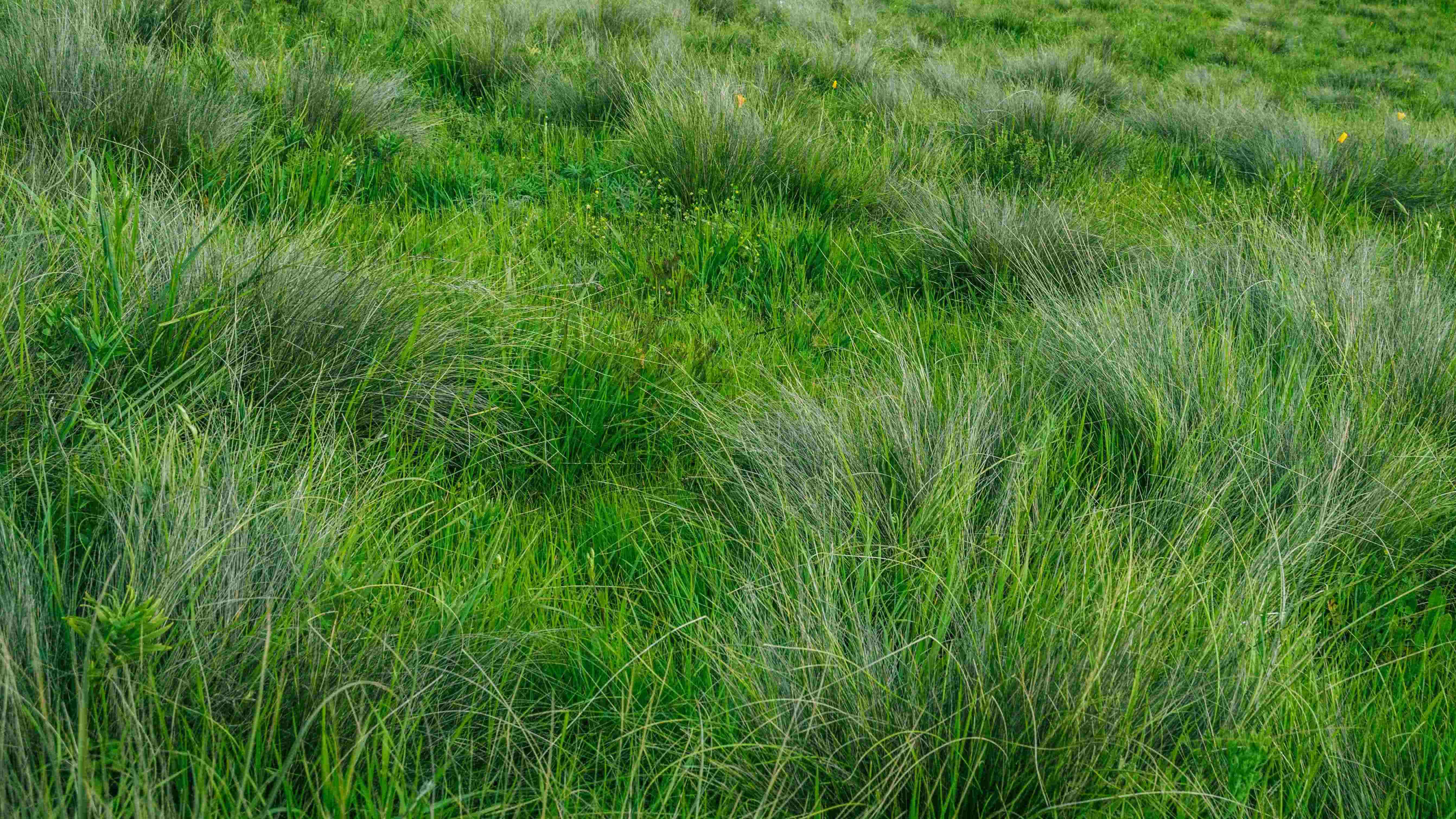 Juan Manuel Nunez Mendez Y1IEnAYvMxY Unsplash