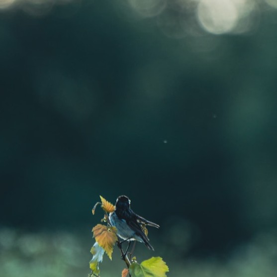 German Krupenin WkUmeBxePqA Unsplash (1)