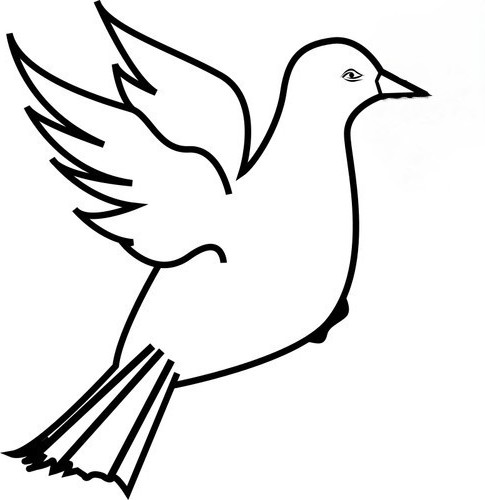 Dove 2