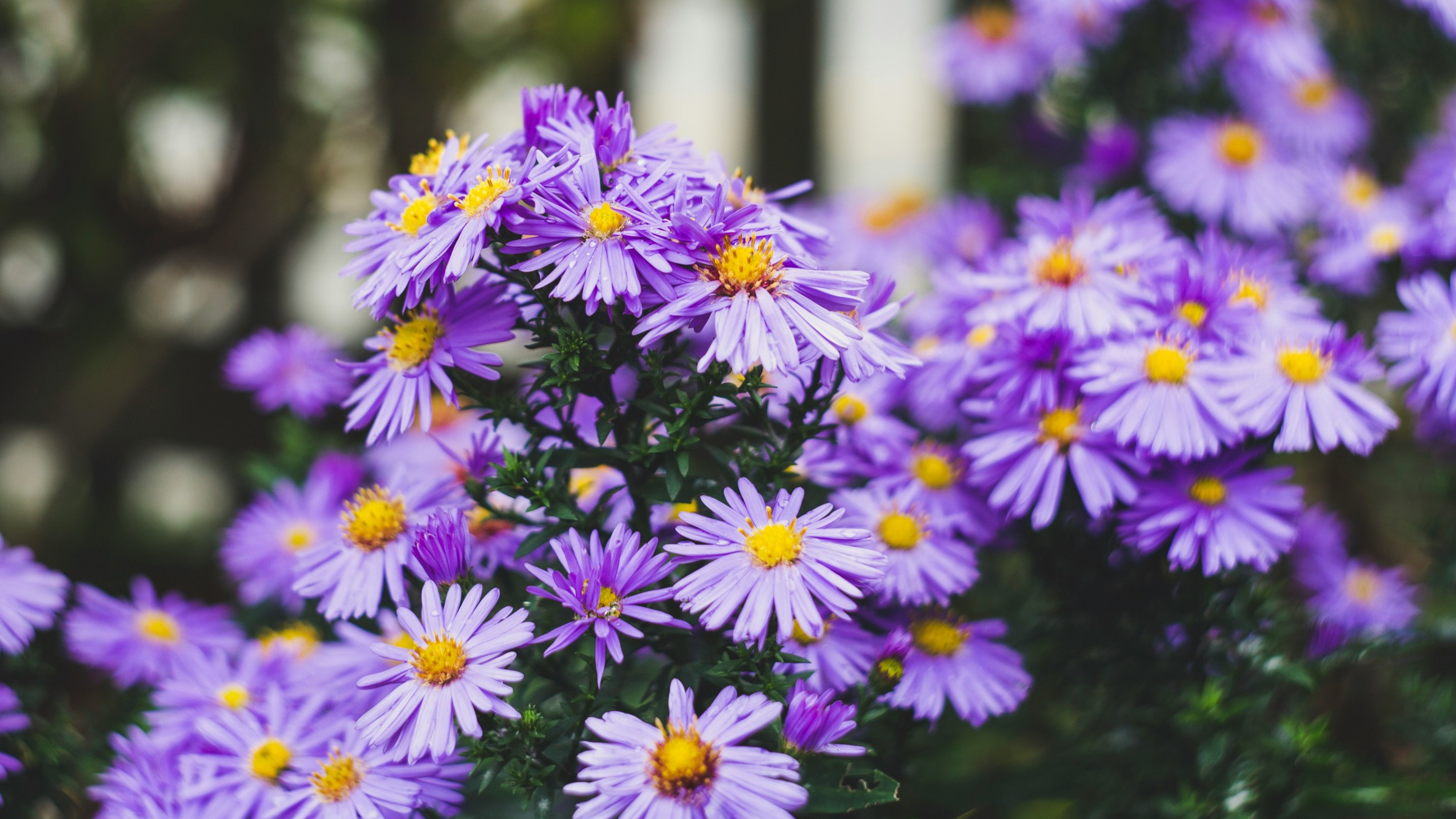 Markus Spiske N5pvljyOwko Unsplash
