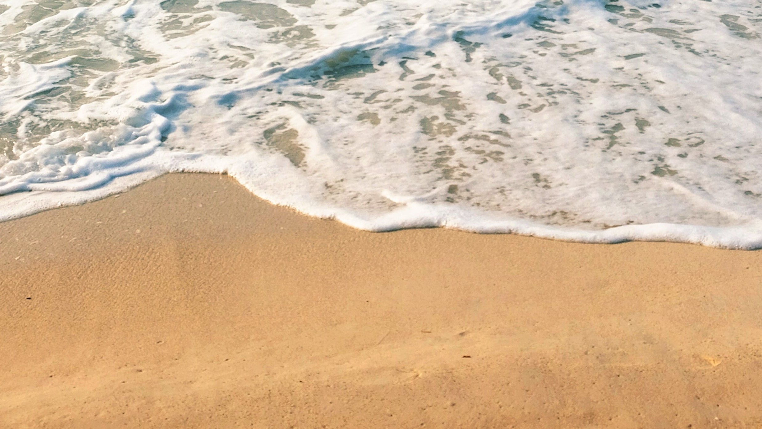 Mink Mingle G0Qdolm3K14 Unsplash