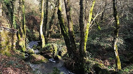 2 Wikimedia Muíños De Caíde (Casal De Abade, Verea)