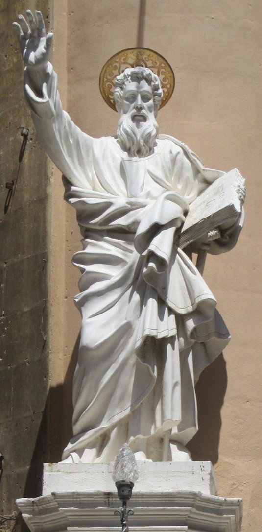 Paulus49 D