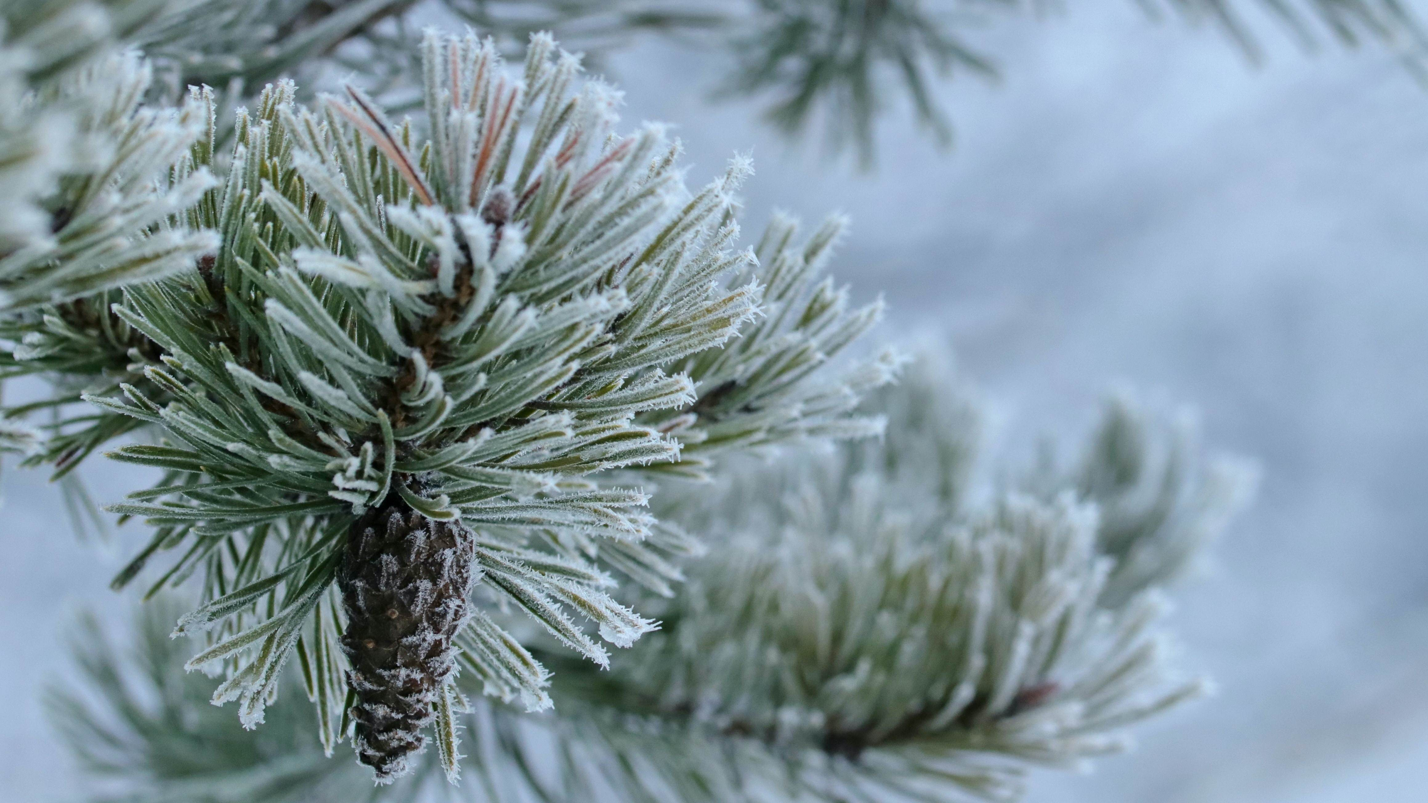 Elisa H XngzuHWPLew Unsplash