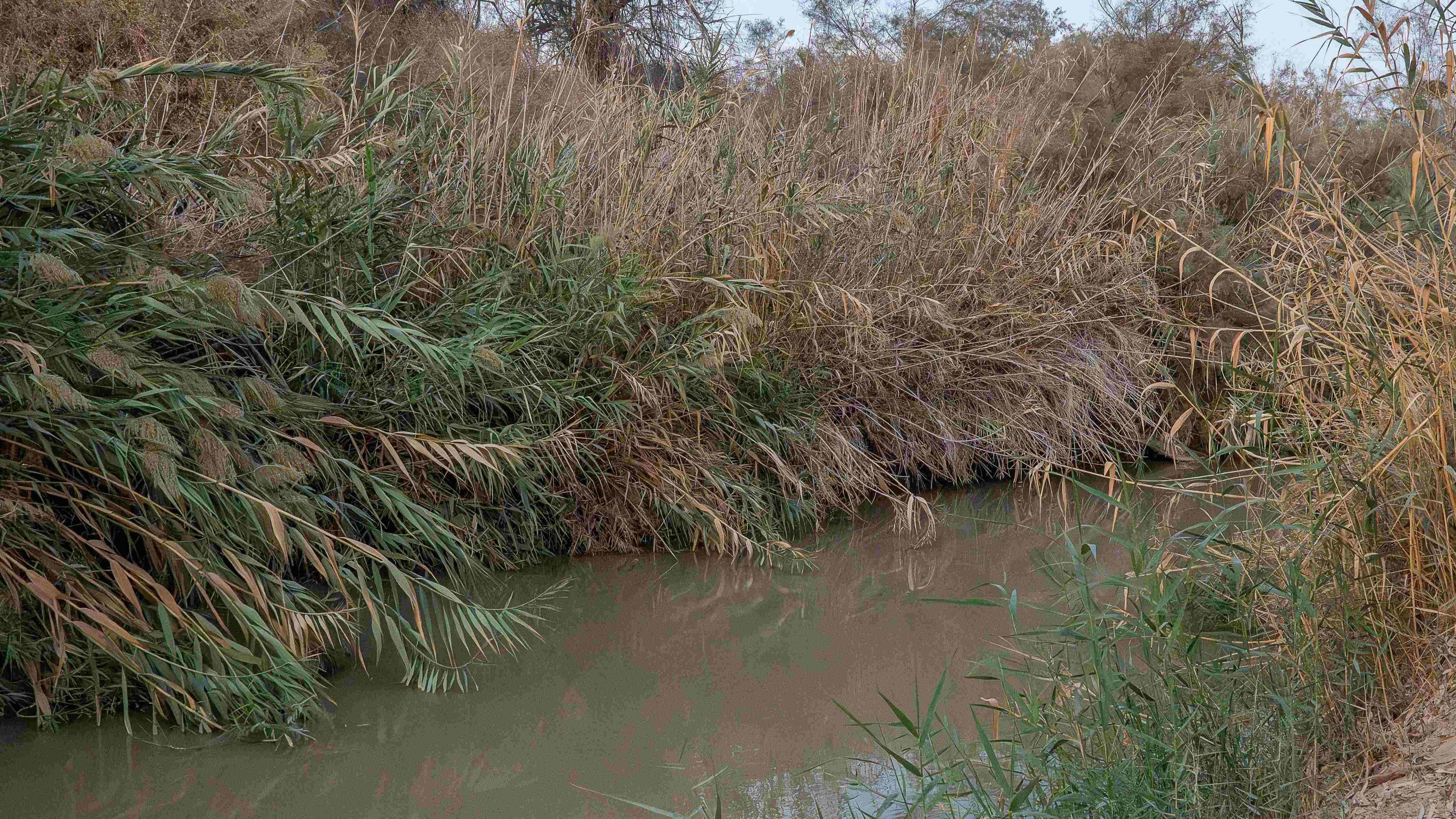 Jos Peeters L24 1623 2