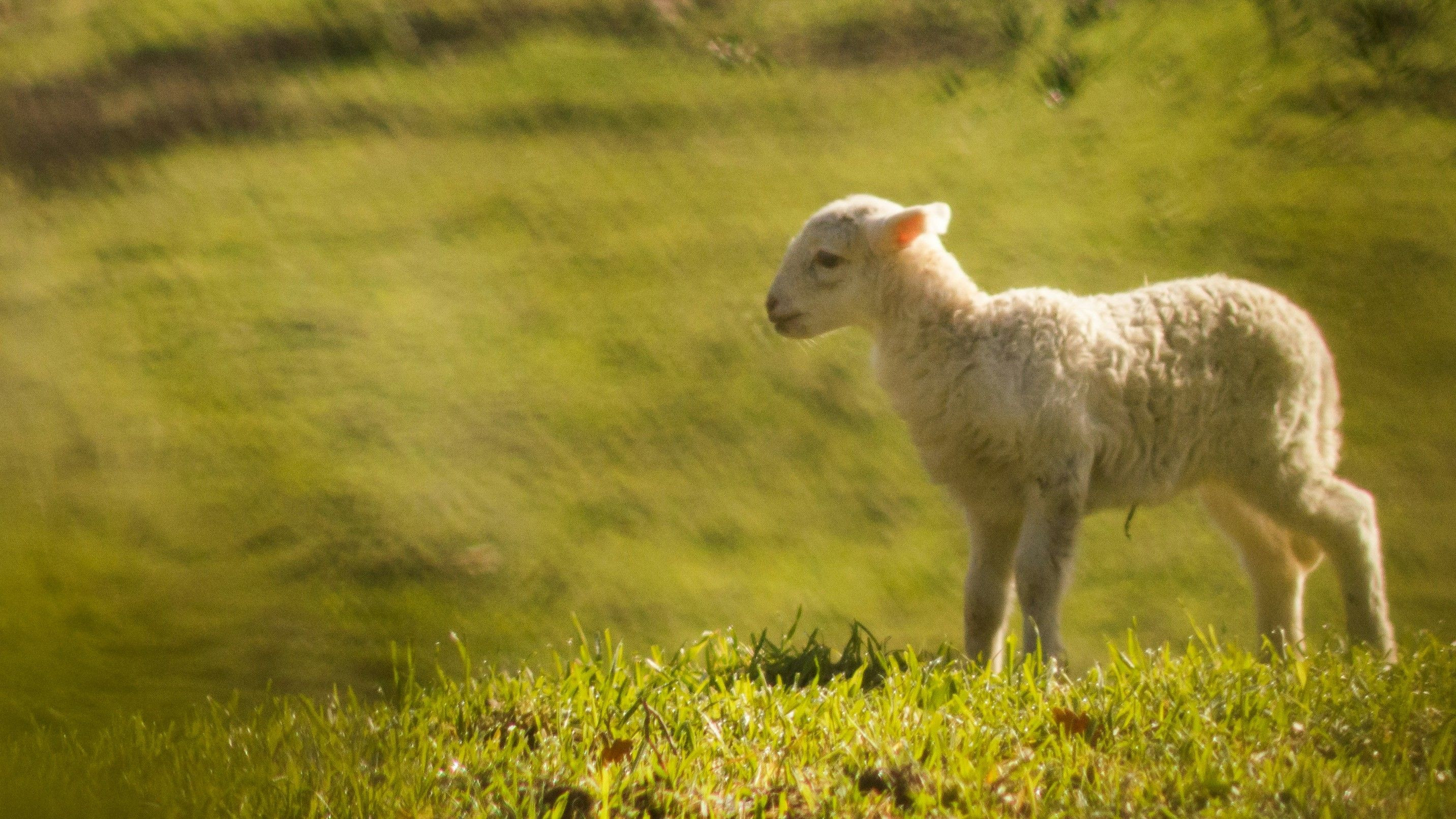 Gabriele Agrillo JSZO5zM60bY Unsplash