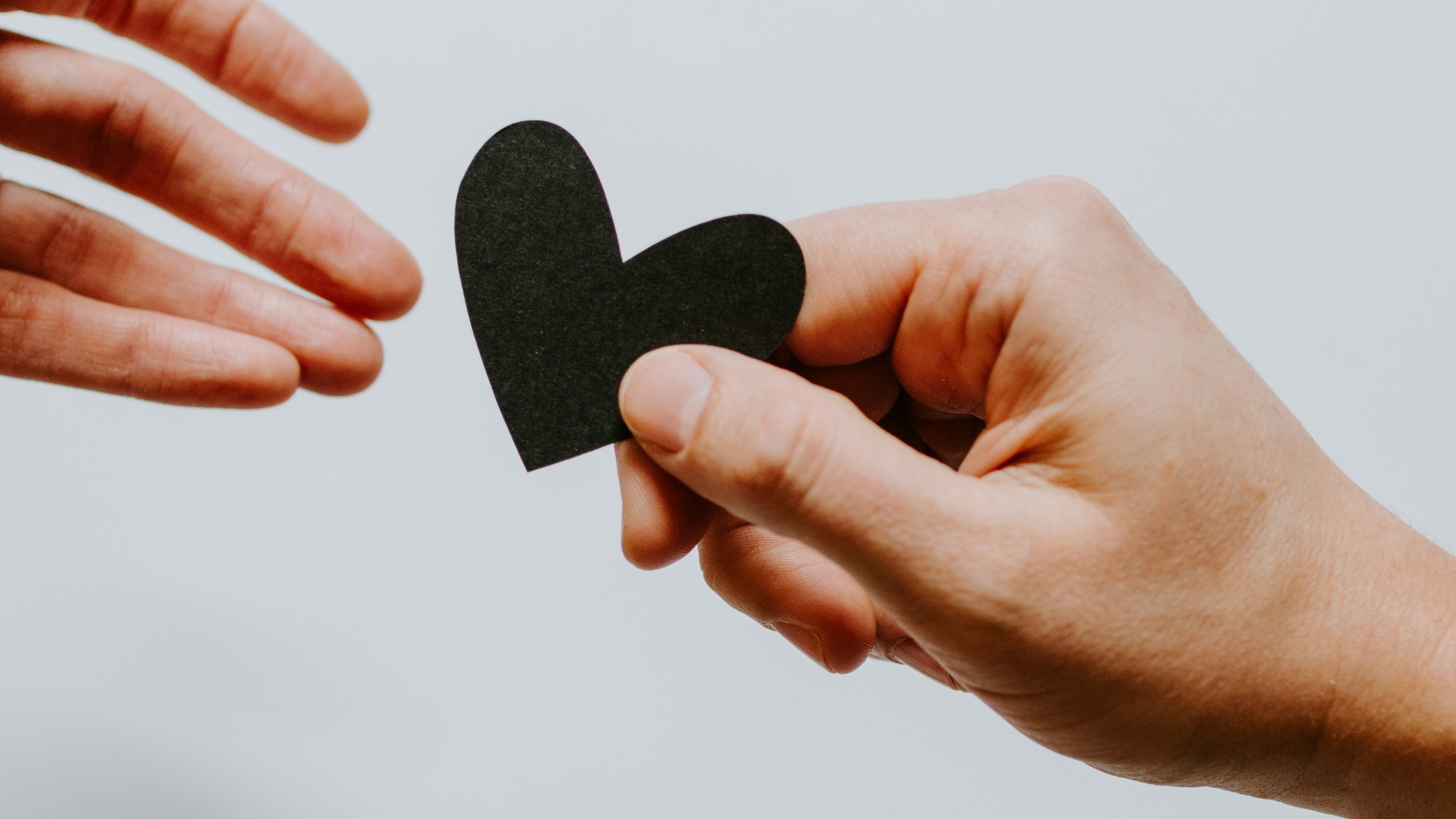 Kelly Sikkema XX2WTbLr3r8 Unsplash