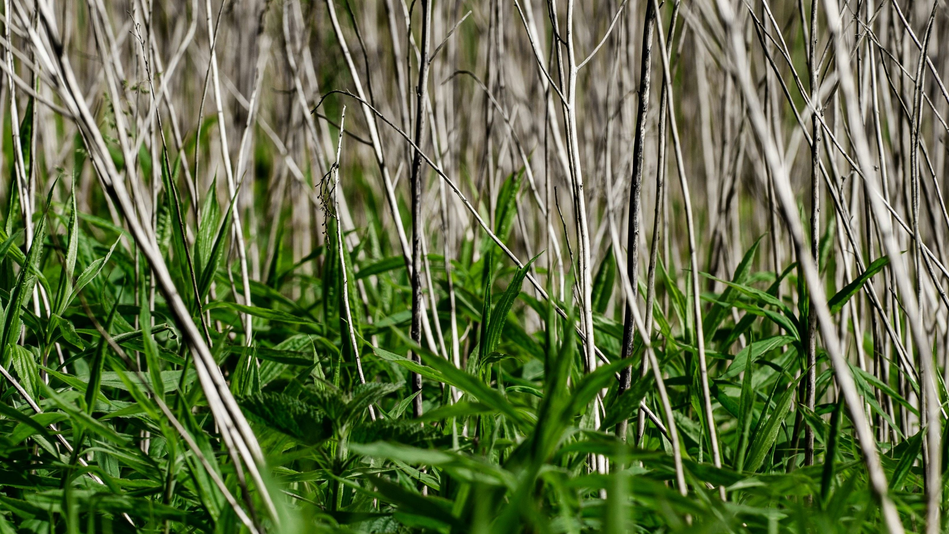 Viktor Talashuk 7PA 5pTx6Uk Unsplash