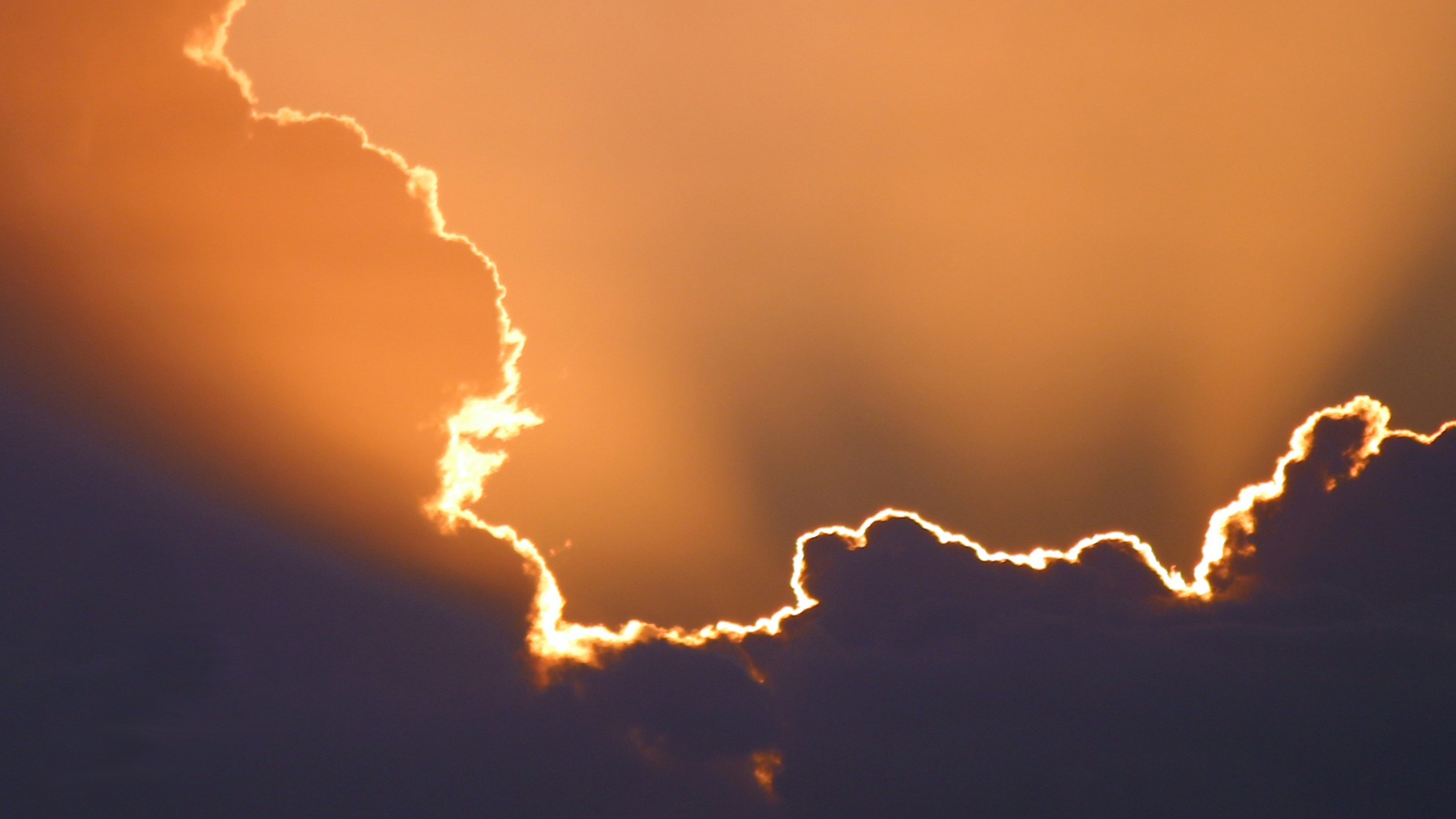 Marcus Dall Col XU MMDweXR4 Unsplash