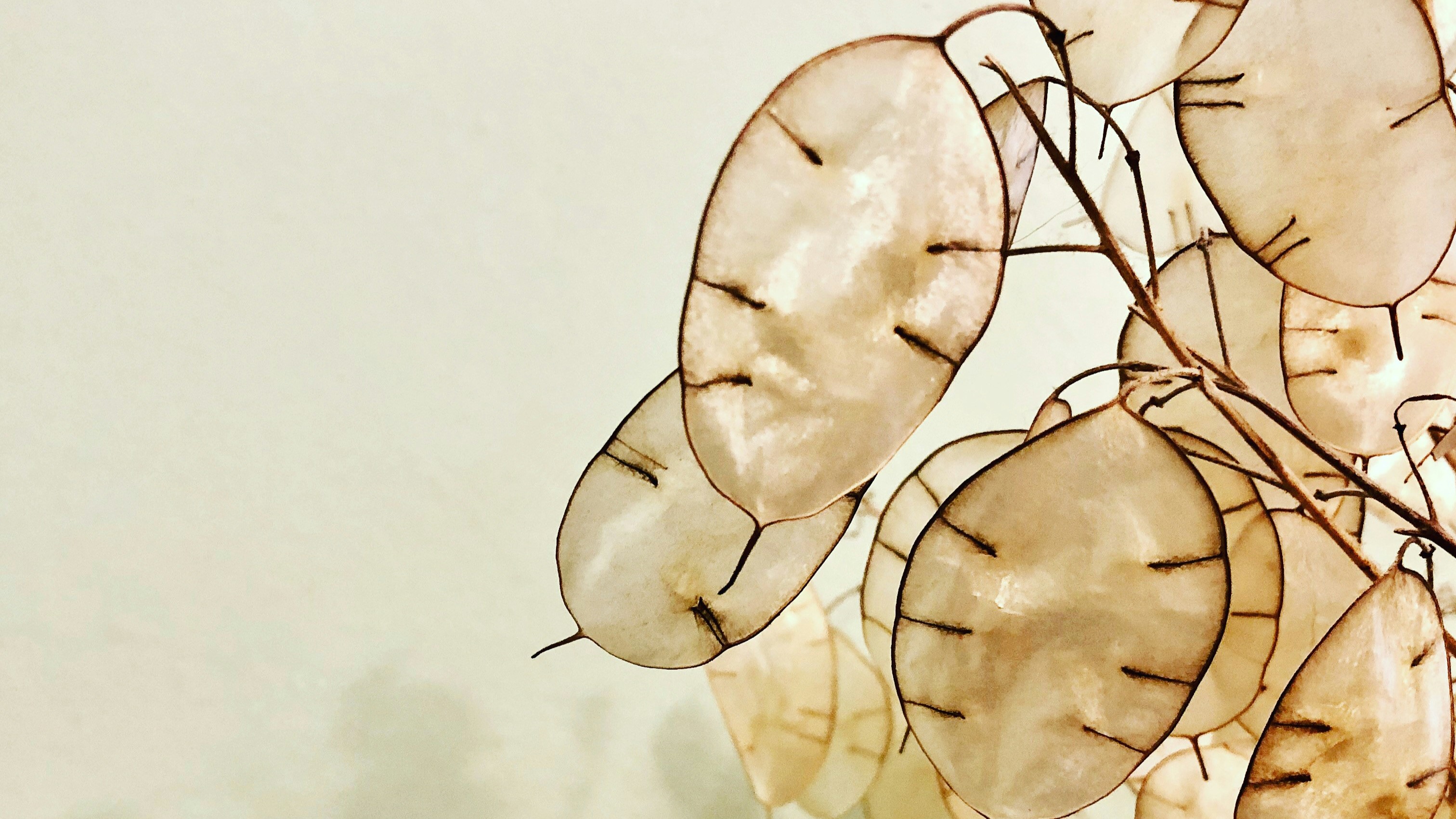 33 Diane Helentjaris TYk0YQbog9g Unsplash