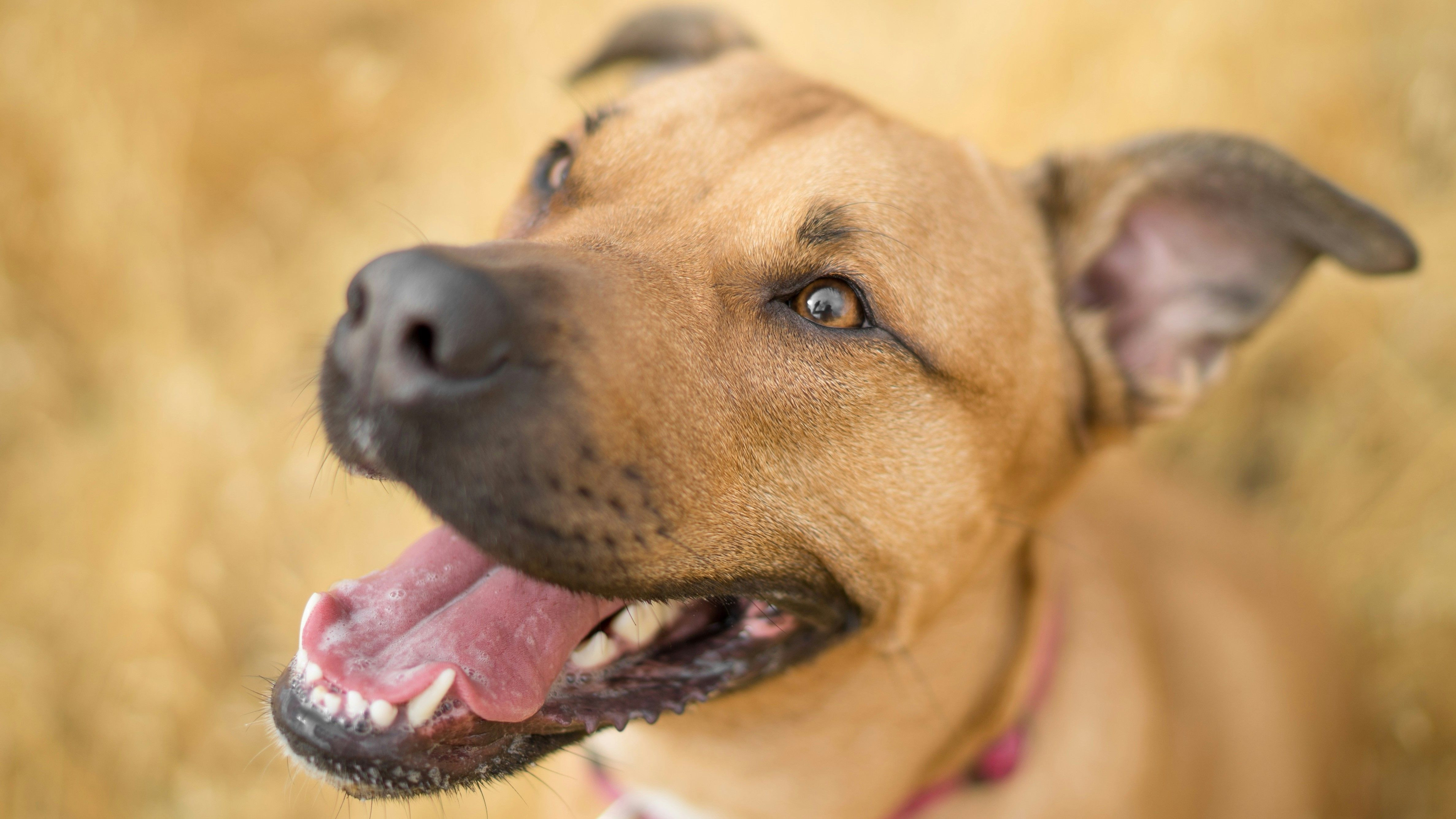 33 Paulius Dragunas RScwqpg5yDU Unsplash