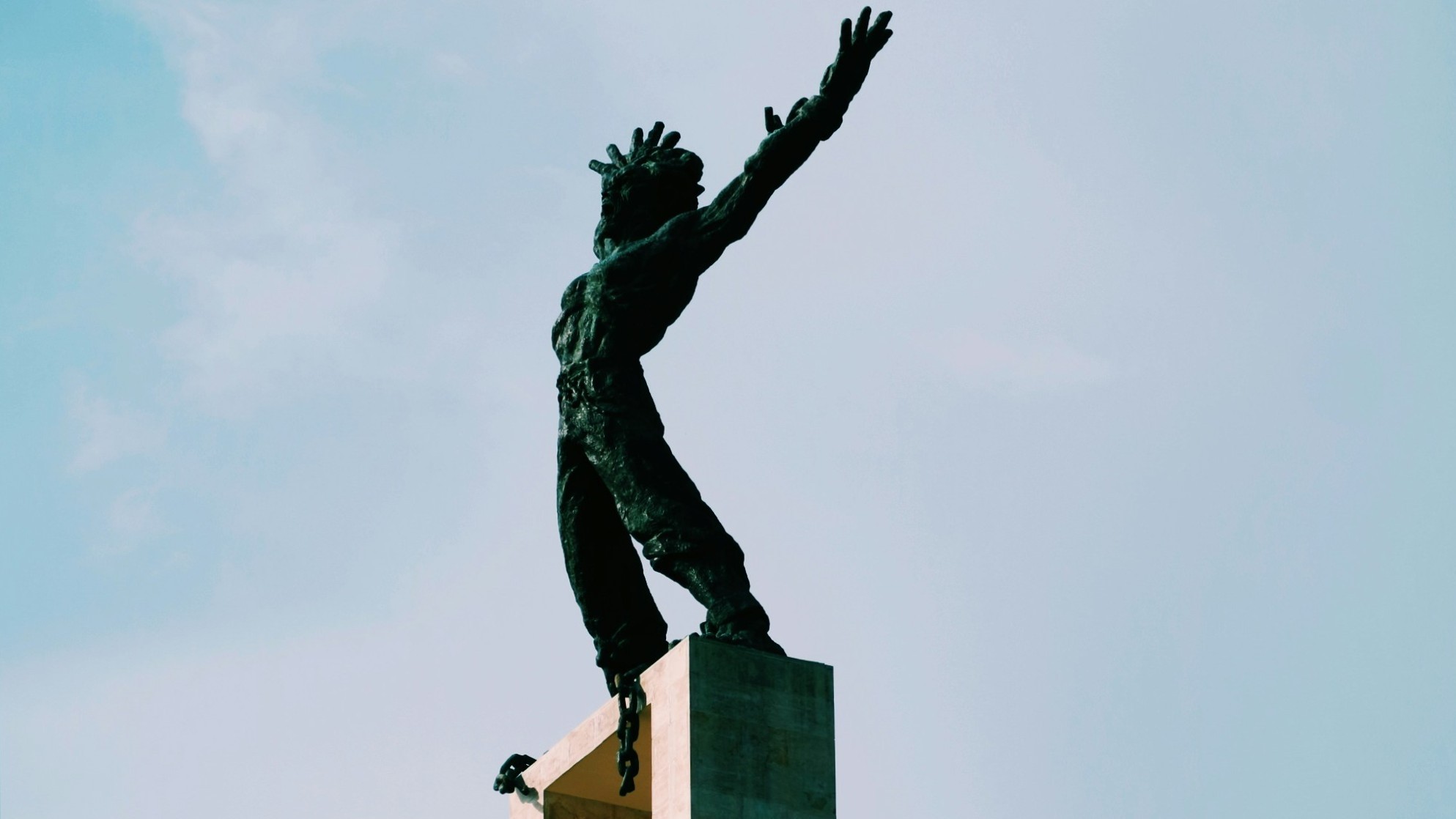 3 Anisetus Palma LpT2V8YD G8 Unsplash