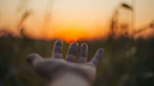 5p Photo 1518731429075 F91c8025641e Unsplash