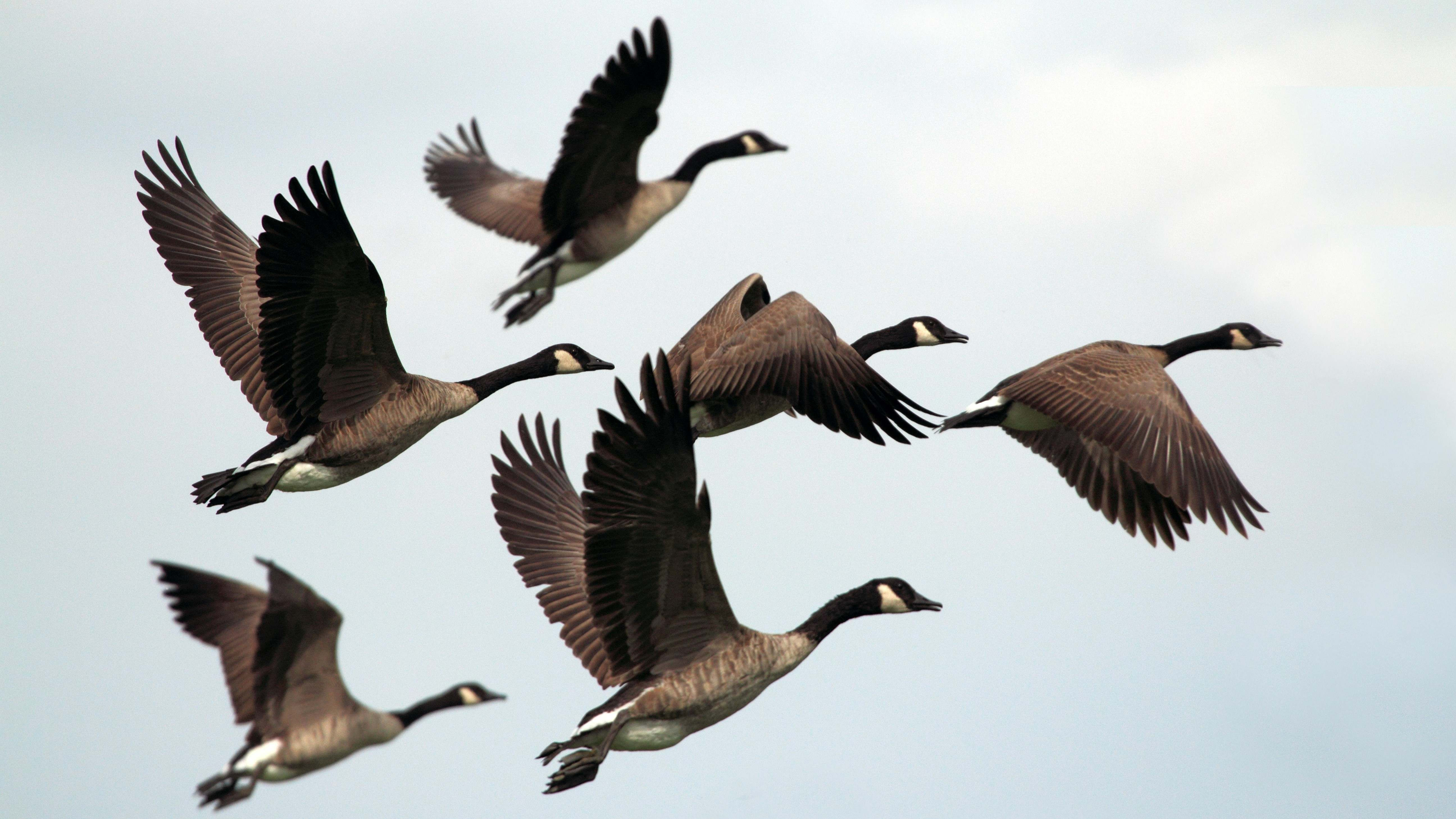 Gary Bendig WPmPsdX2ySw Unsplash