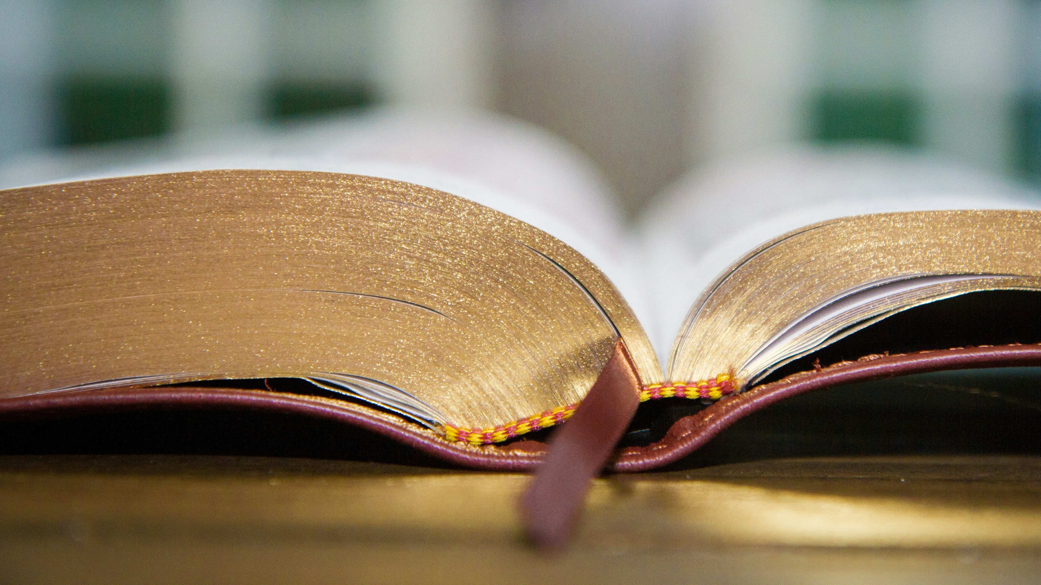 Jonathan Wells X4OWrjnYsFg Unsplash