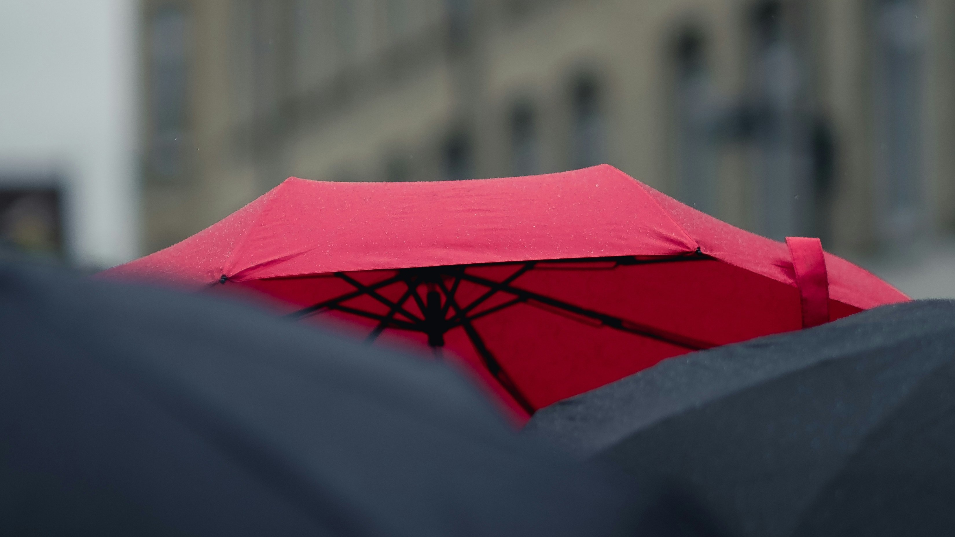 Craig Whitehead UU7h4INMaJE Unsplash