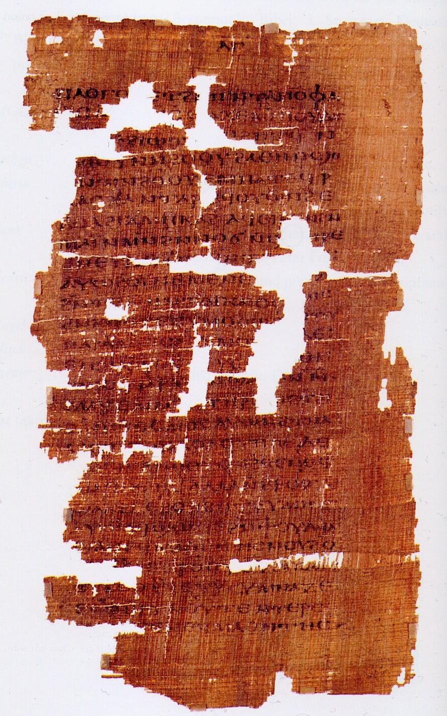 Wikimedia Codex Tchacos P33