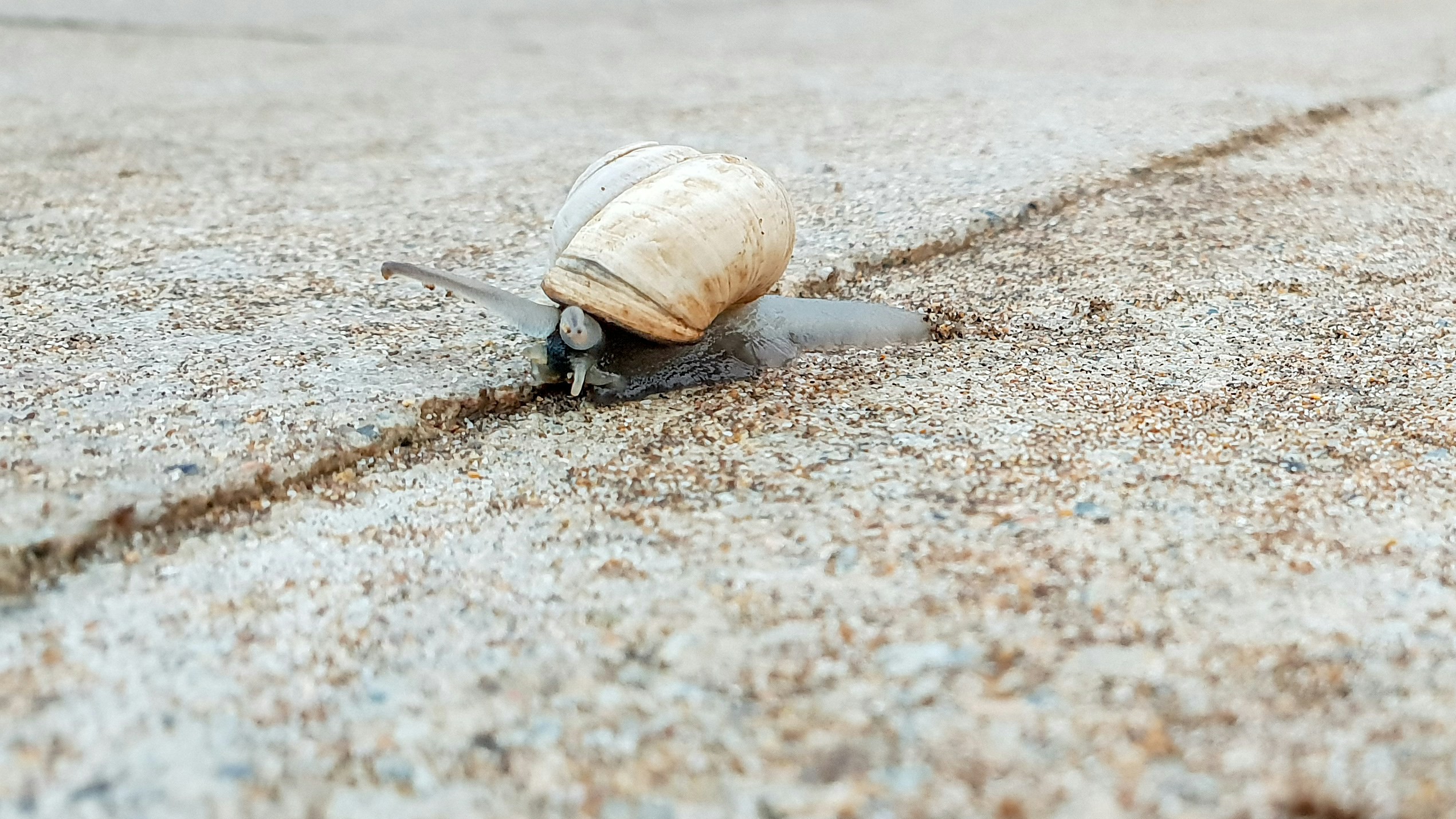 Karim Manjra TmL88kP5dXY Unsplash
