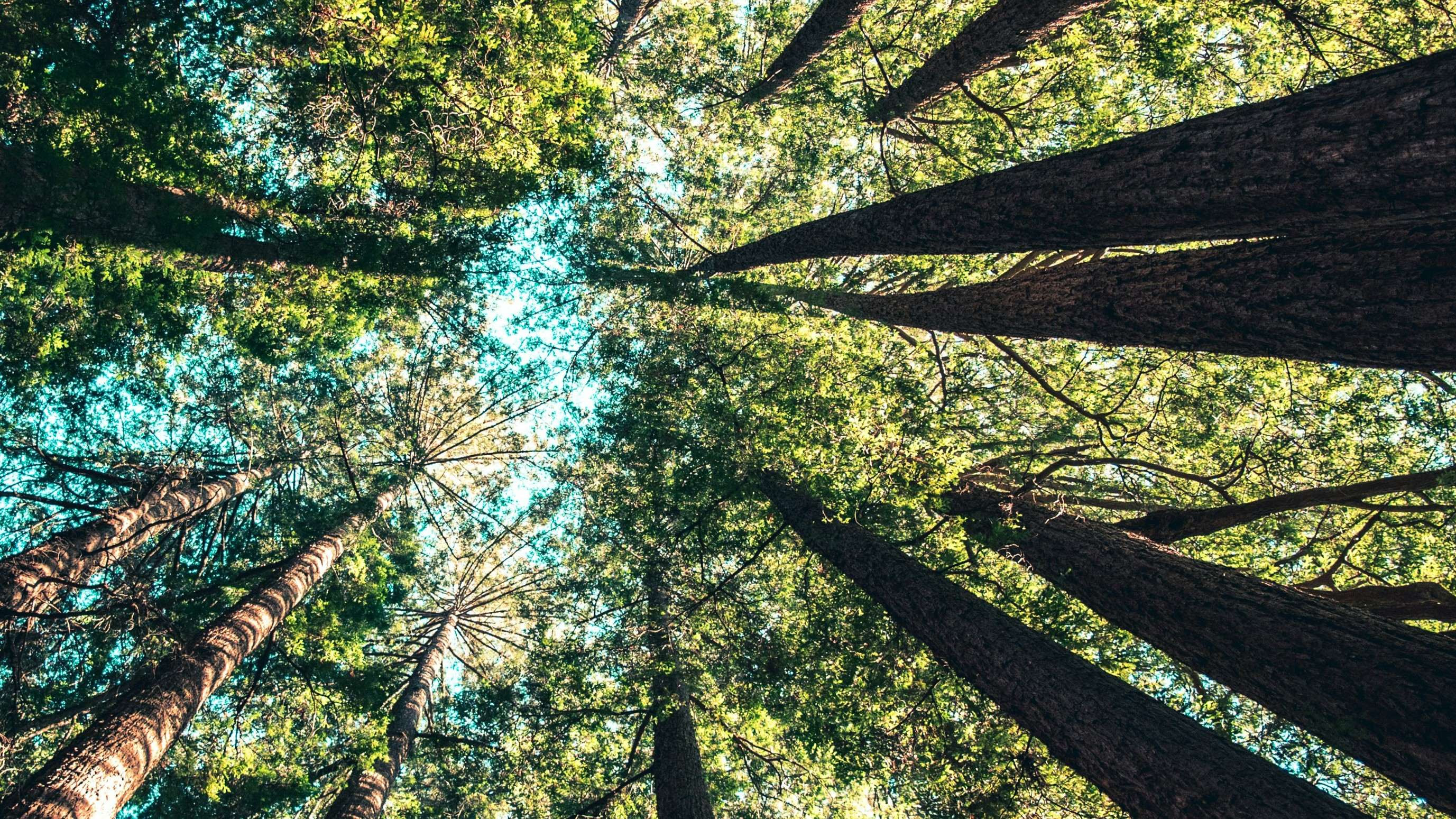 Casey Horner 4rDCa5hBlCs Unsplash