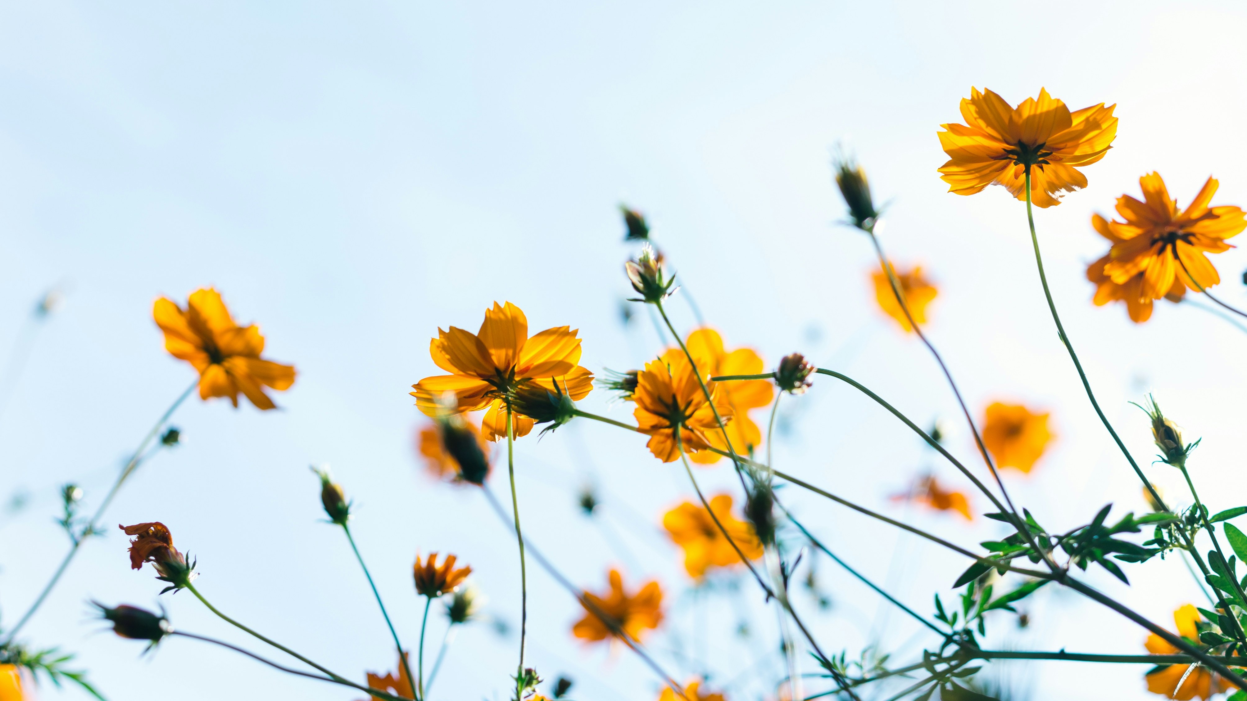 Masaaki Komori Z8TQv3yKQd4 Unsplash