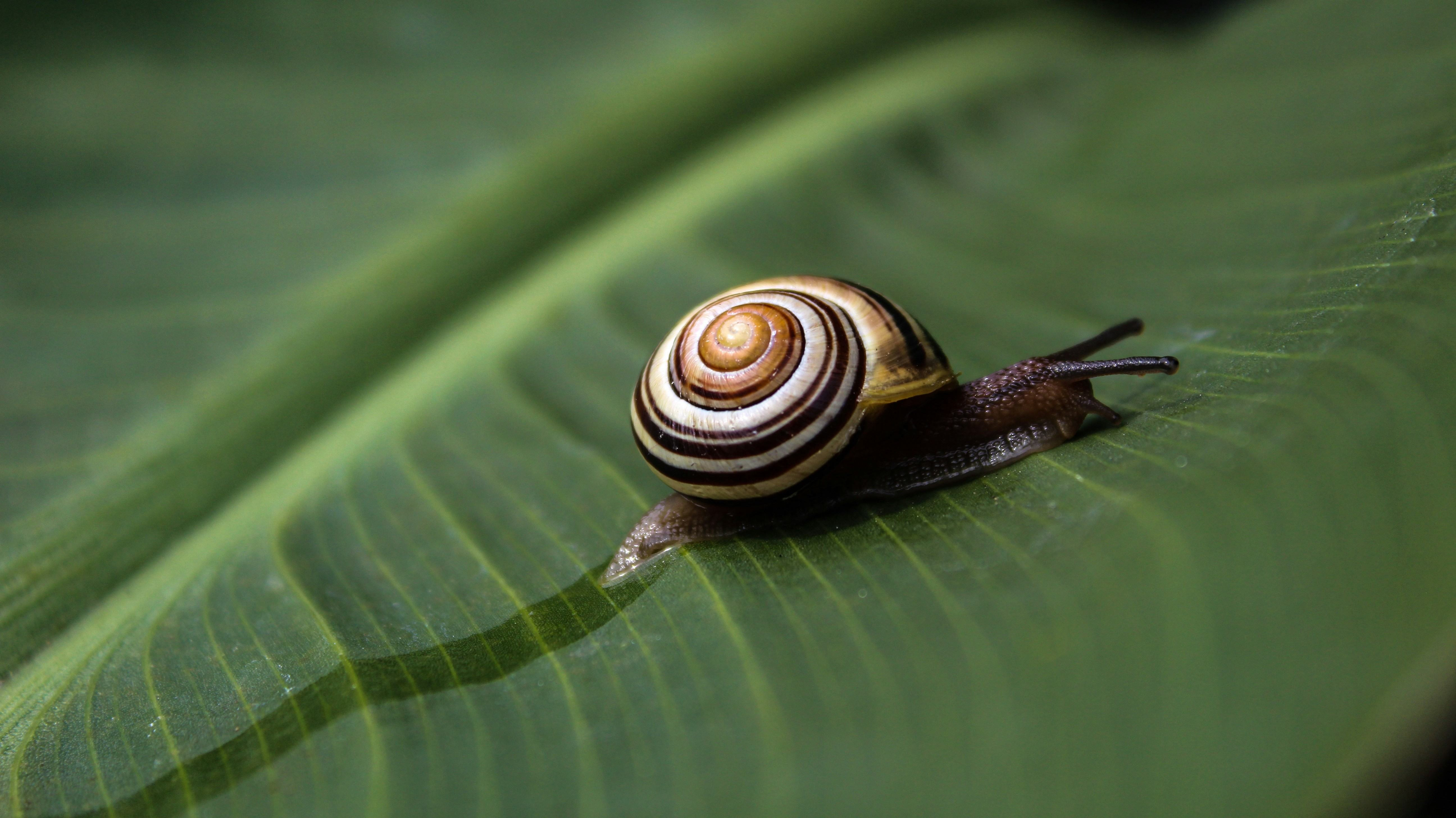16 T WkKipnLHbKE Unsplash B