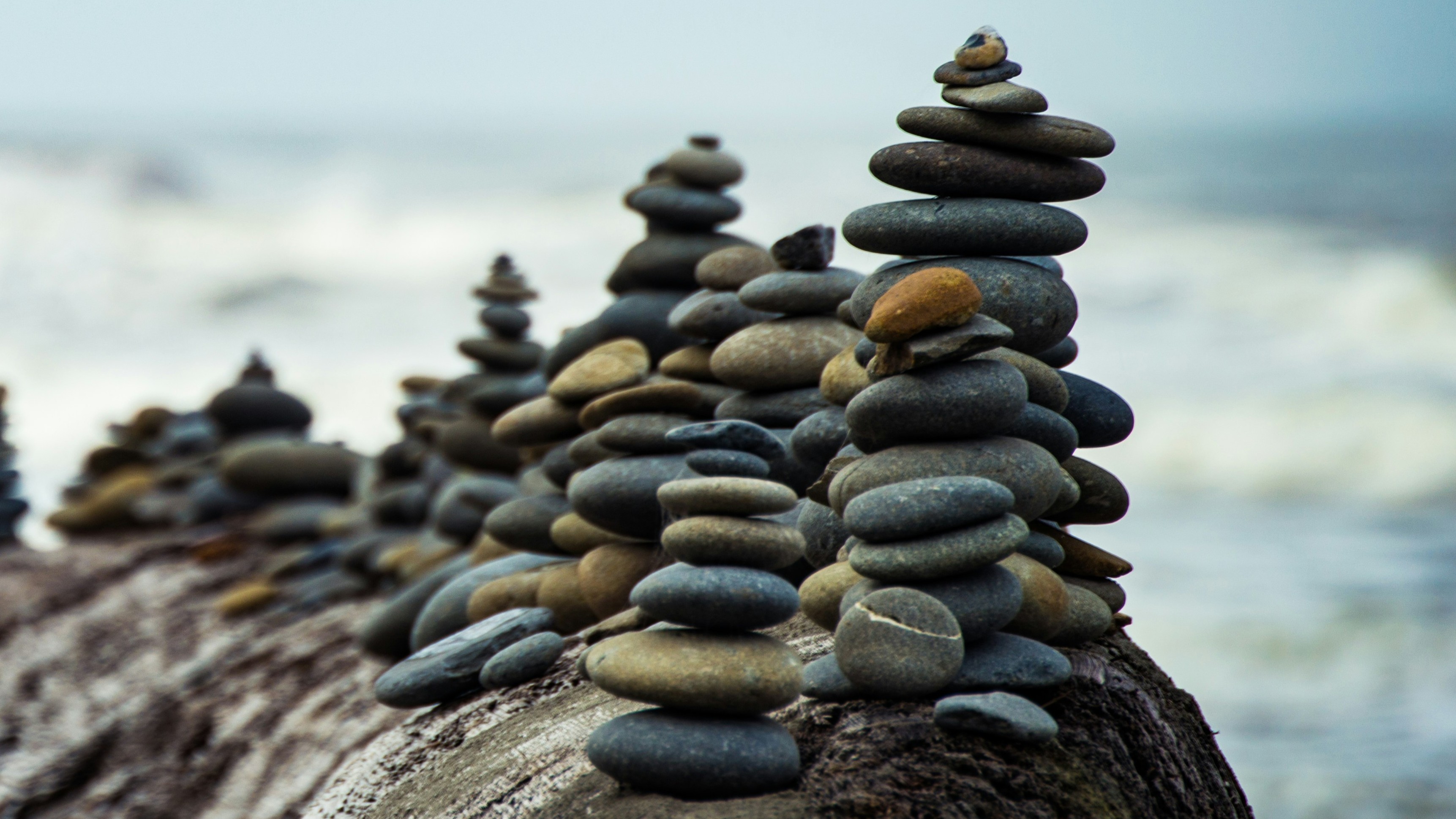 7 Tyler Milligan DSIcpkddKrM Unsplash